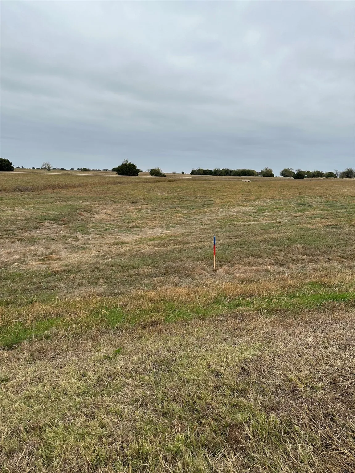 View of yard featuring a rural view