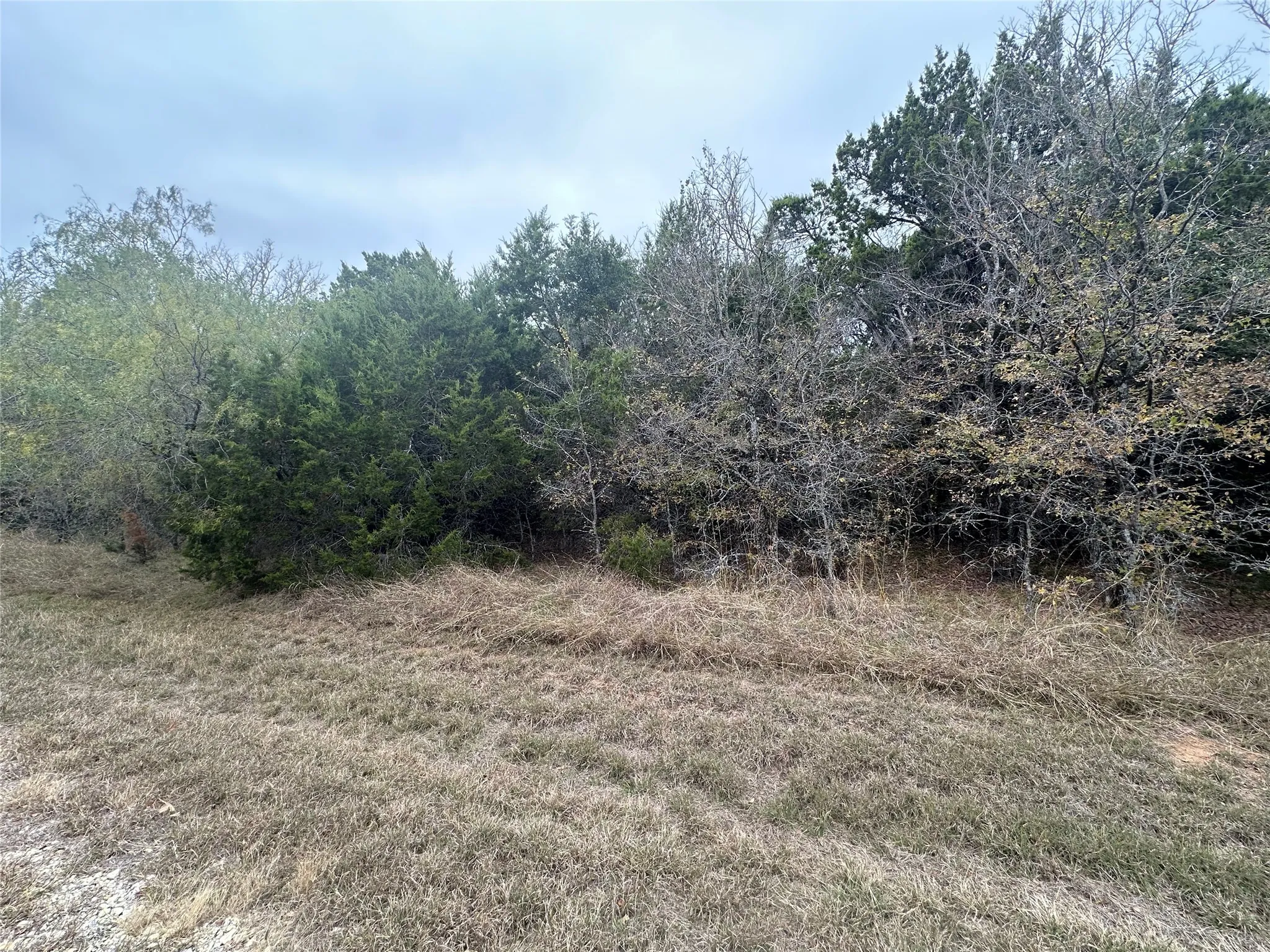 Unimproved Land For Sale in Hill County , 18029 Southhill Drive, Whitney, Texas 76692, 0, 0, Garage spaces, 0 Sqft, built in 0, mls#20785004, Real Estate Agent in Whitney, Homes For Sale in Hill county, Homes For Sale in Whitney, Realtor in Whitney Texas, Real Estate Brokerage Independent Realty Texas, Luminita Cordes Realtor