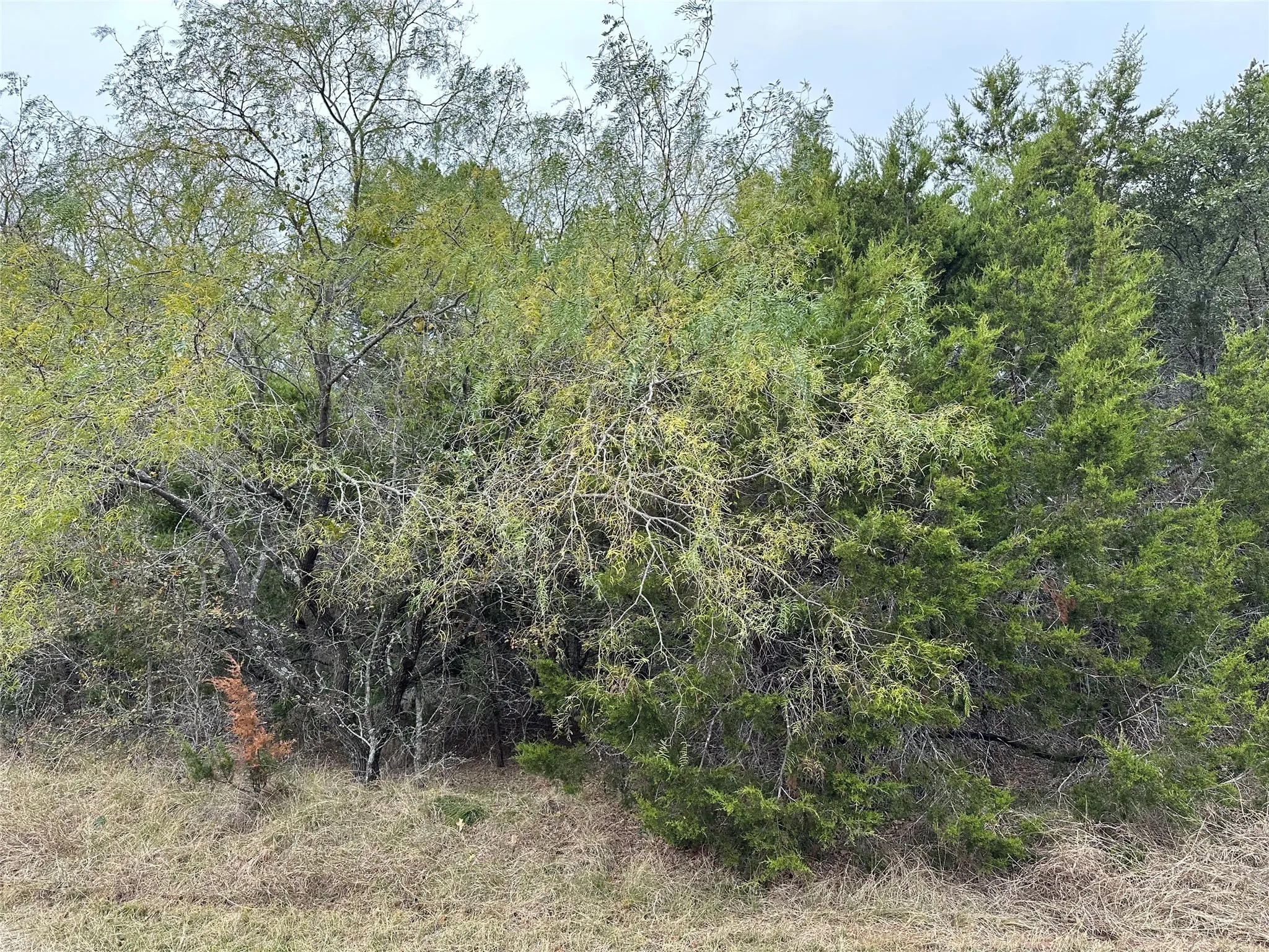 Unimproved Land For Sale in Hill County , 30044 Stonedale Drive, Whitney, Texas 76692, 0, 0, Garage spaces, 0 Sqft, built in 0, mls#20785010, Real Estate Agent in Whitney, Homes For Sale in Hill county, Homes For Sale in Whitney, Realtor in Whitney Texas, Real Estate Brokerage Independent Realty Texas, Luminita Cordes Realtor