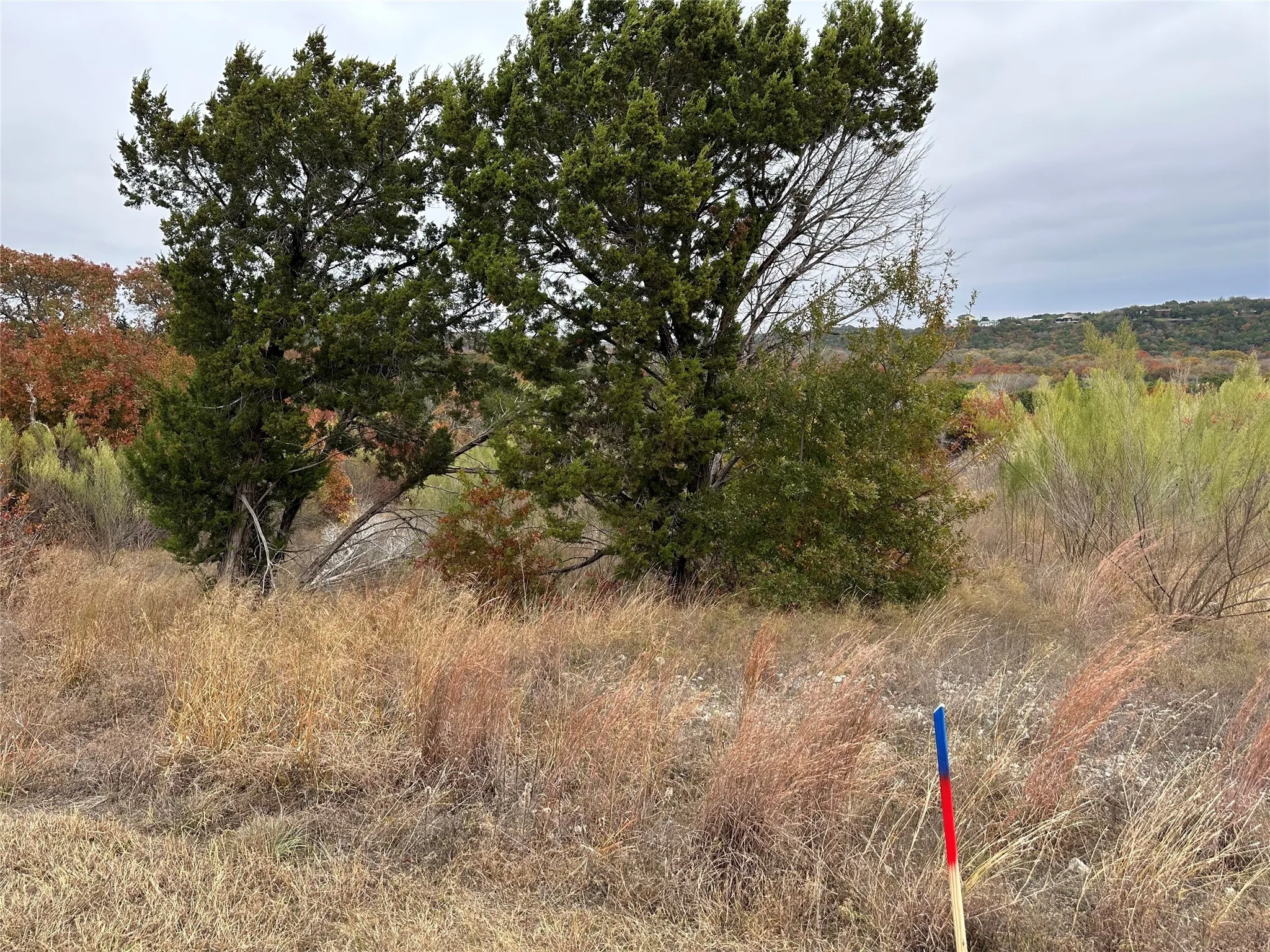 View of local wilderness