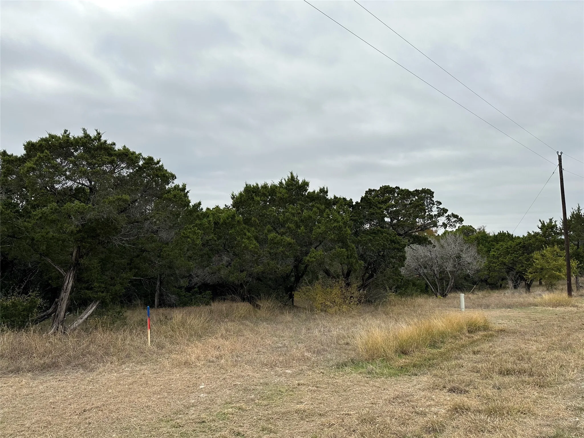 View of local wilderness