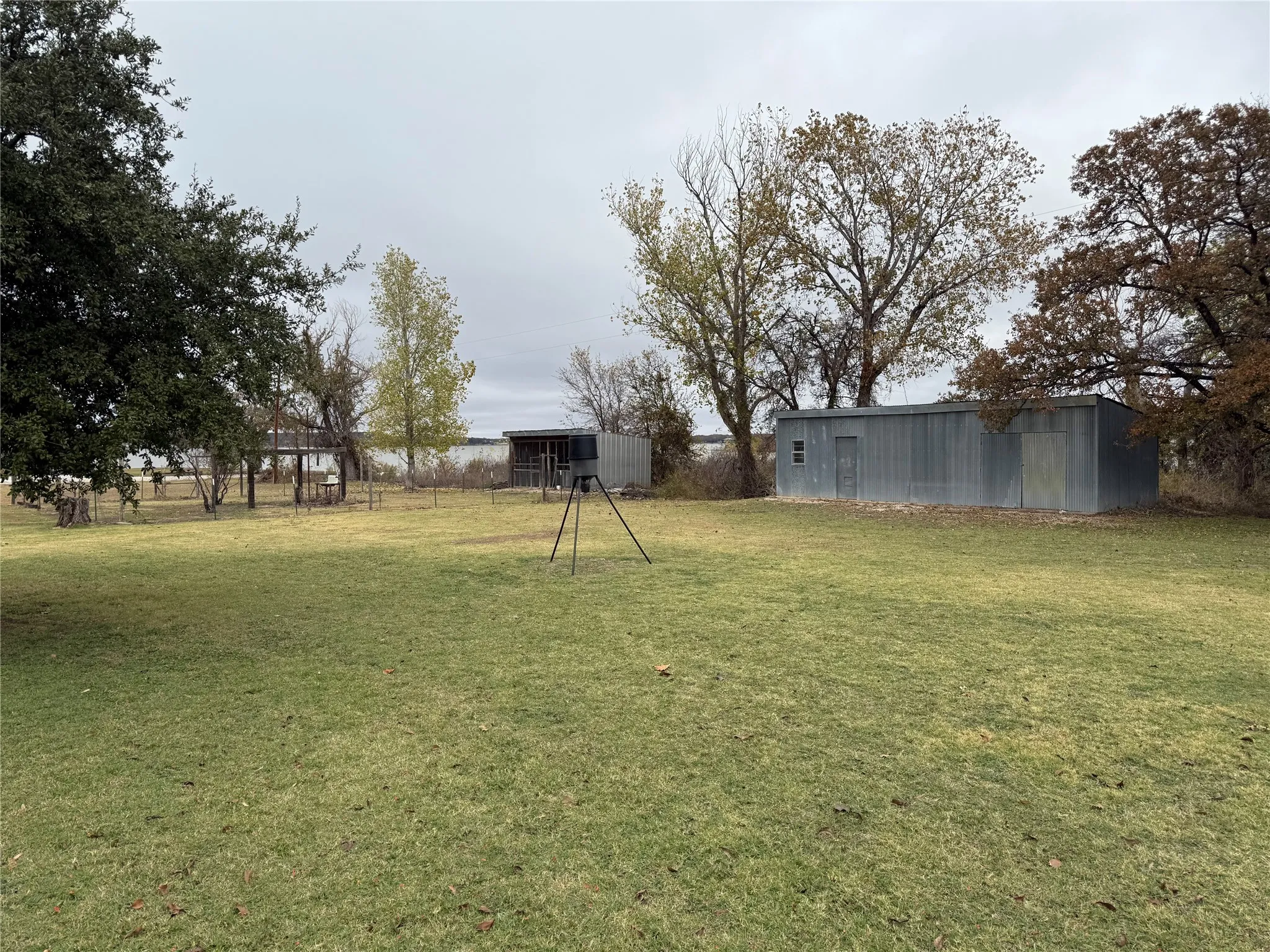 shed 1 & chicken coop