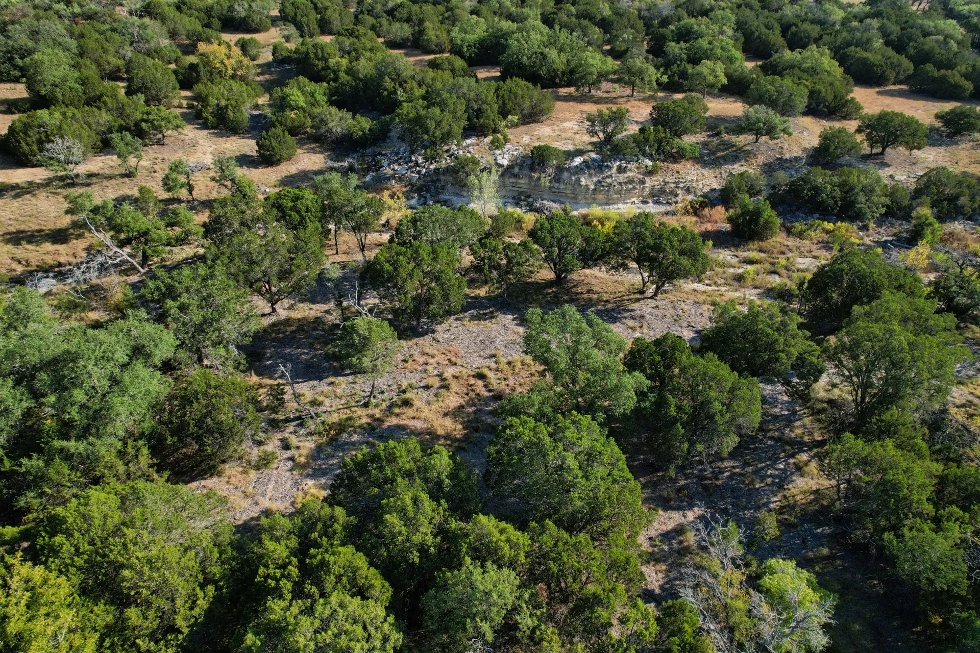 Drone / aerial view of the creek