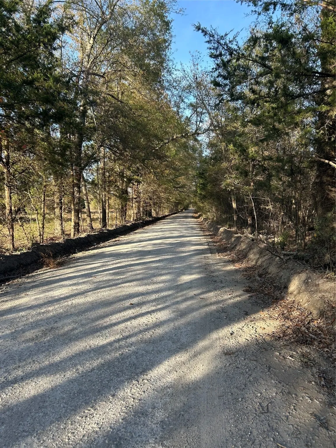 View of road