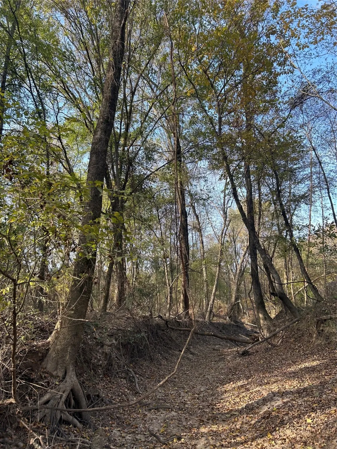 View of landscape