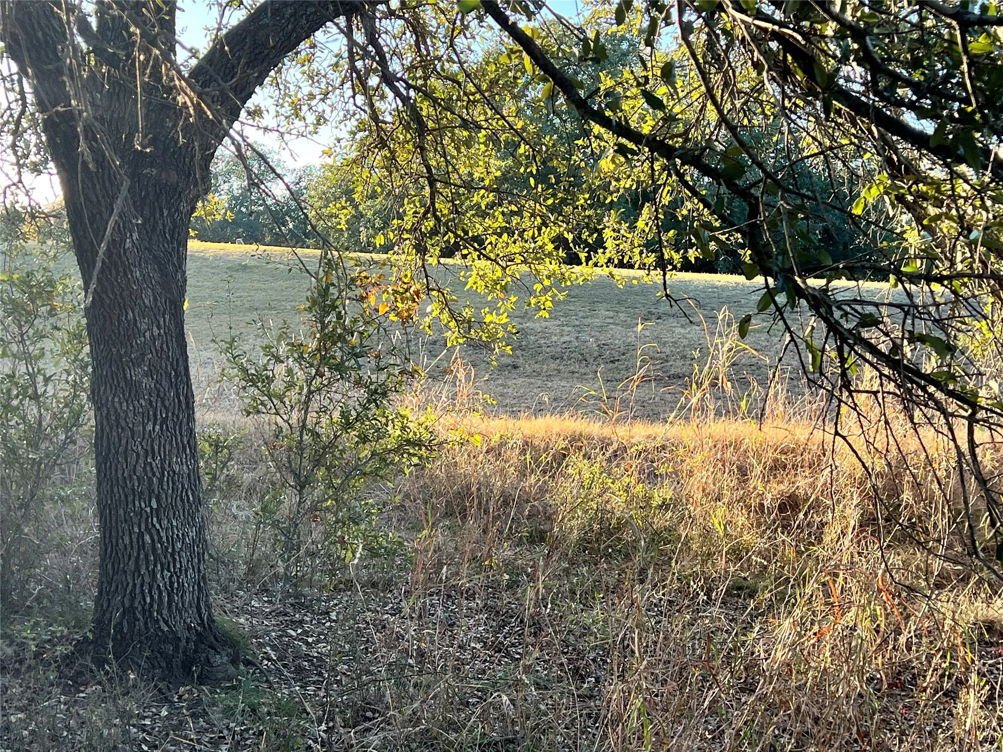 Unimproved Land For Sale in Brown County , TBD2 Feather Bay Drive, Brownwood, Texas 76801, 0, 0, Garage spaces, 0 Sqft, built in 0, mls#20789184, Real Estate Agent in Brownwood, Homes For Sale in Brown county, Homes For Sale in Brownwood, Realtor in Brownwood Texas, Real Estate Brokerage Independent Realty Texas, Luminita Cordes Realtor