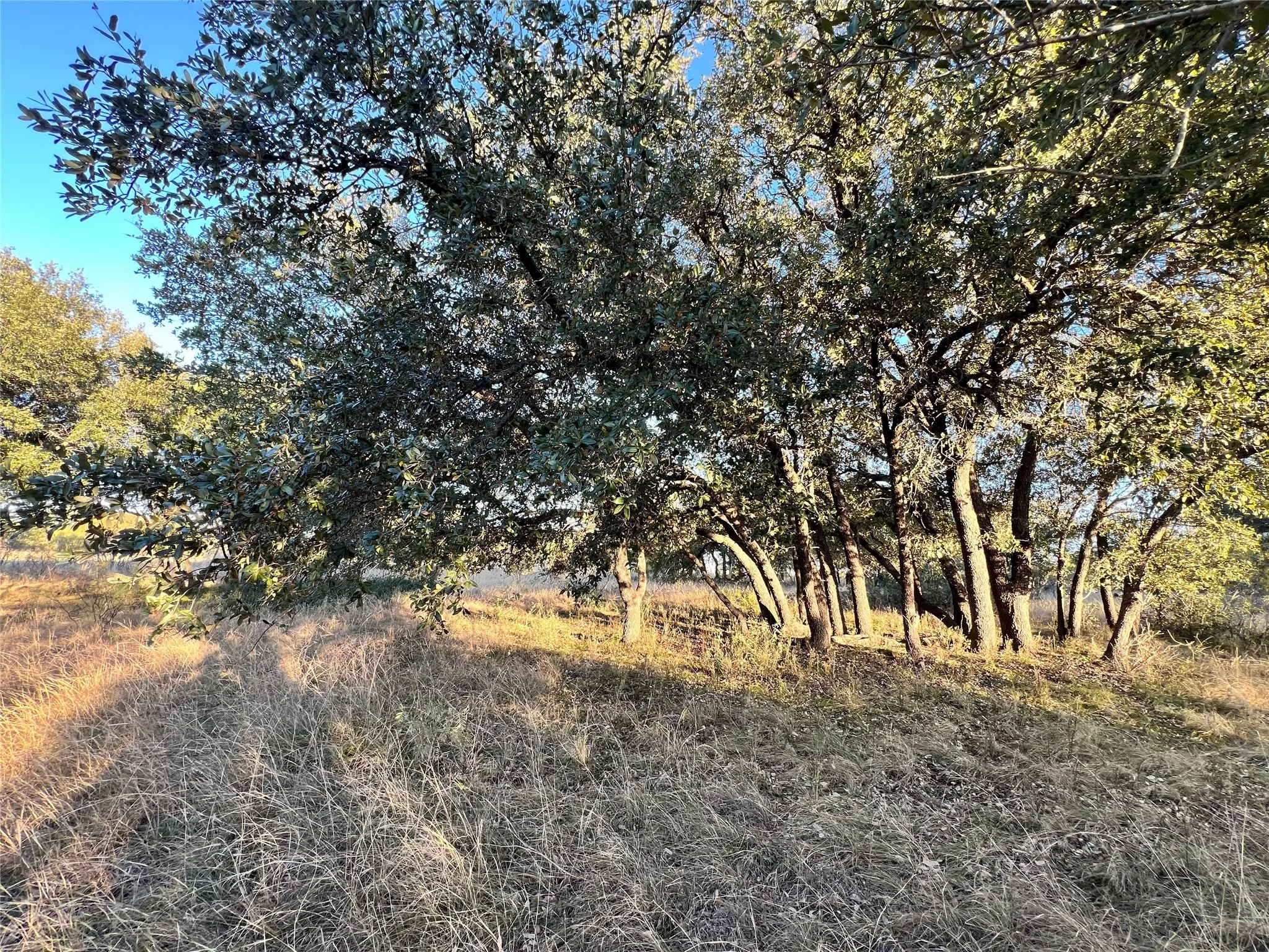 Unimproved Land For Sale in Brown County , TBD2 Feather Bay Drive, Brownwood, Texas 76801, 0, 0, Garage spaces, 0 Sqft, built in 0, mls#20789184, Real Estate Agent in Brownwood, Homes For Sale in Brown county, Homes For Sale in Brownwood, Realtor in Brownwood Texas, Real Estate Brokerage Independent Realty Texas, Luminita Cordes Realtor