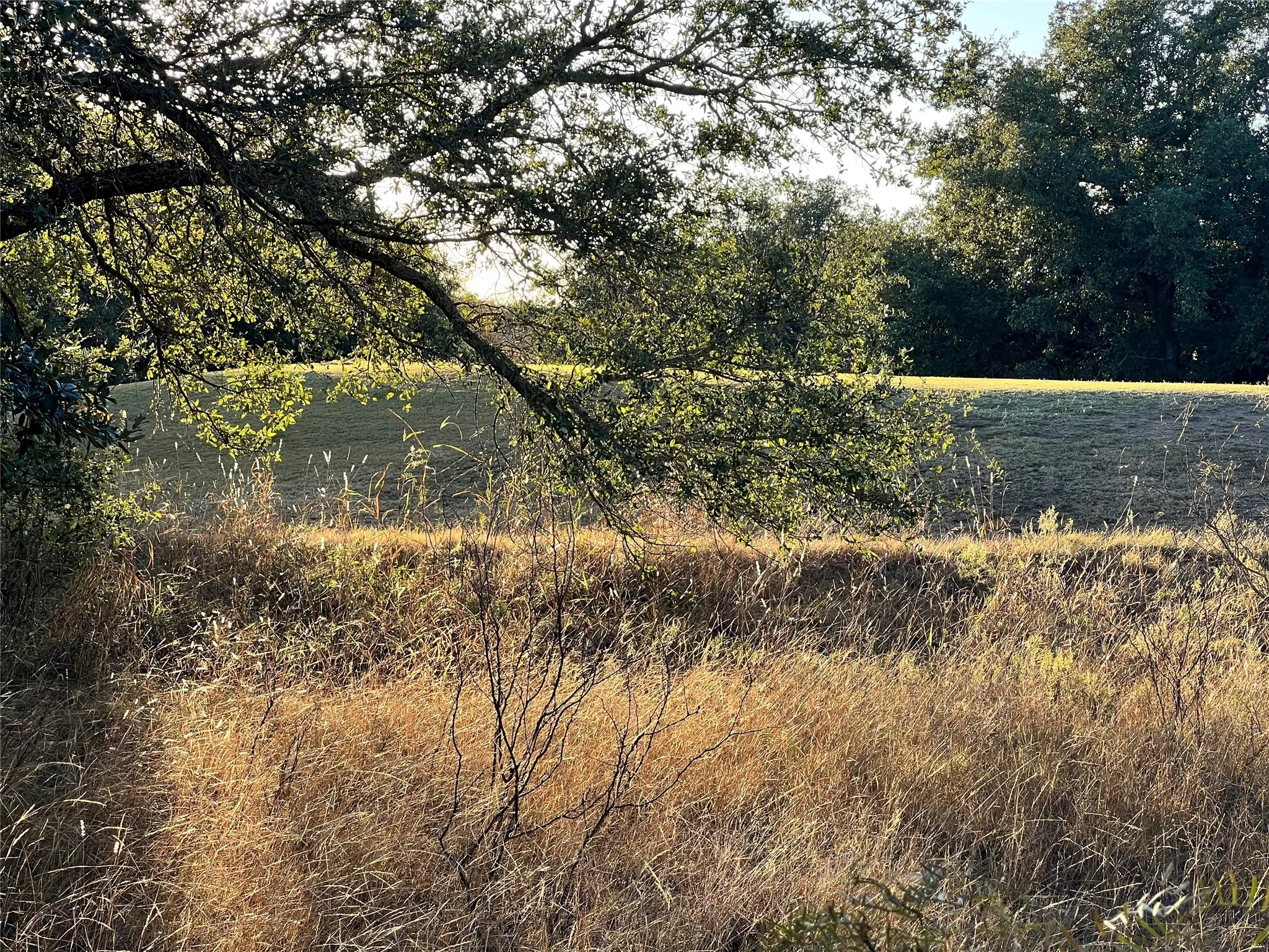 Unimproved Land For Sale in Brown County , TBD2 Feather Bay Drive, Brownwood, Texas 76801, 0, 0, Garage spaces, 0 Sqft, built in 0, mls#20789184, Real Estate Agent in Brownwood, Homes For Sale in Brown county, Homes For Sale in Brownwood, Realtor in Brownwood Texas, Real Estate Brokerage Independent Realty Texas, Luminita Cordes Realtor