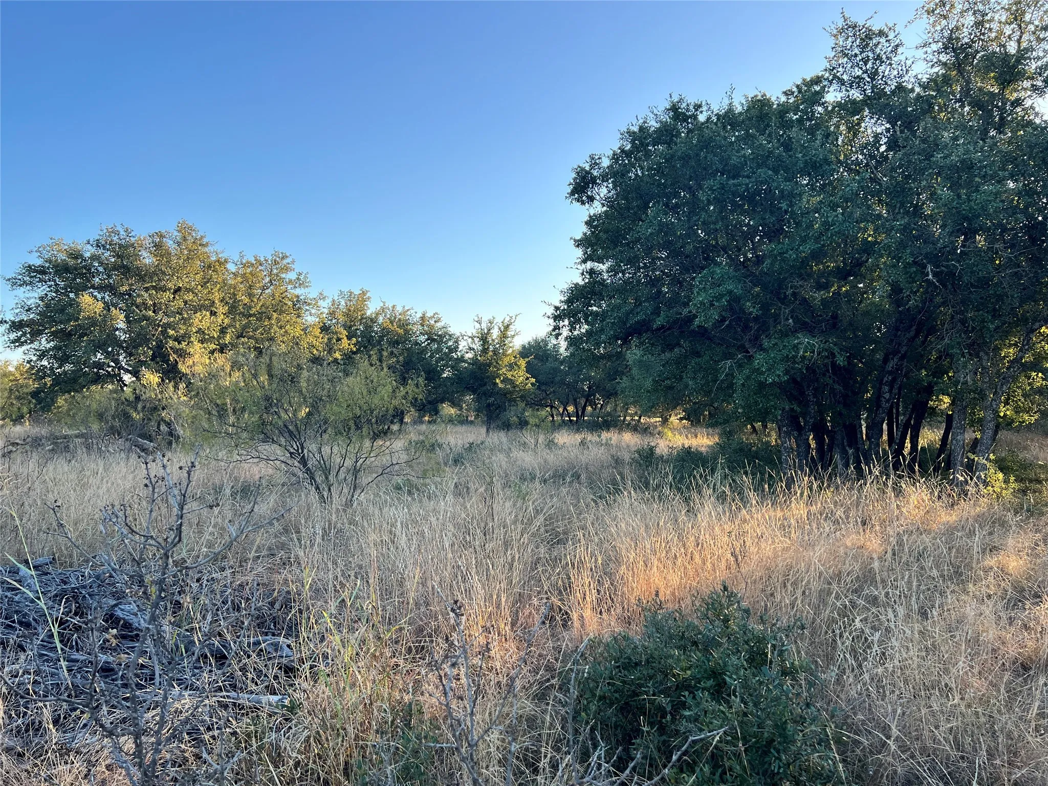 Unimproved Land For Sale in Brown County , TBD2 Feather Bay Drive, Brownwood, Texas 76801, 0, 0, Garage spaces, 0 Sqft, built in 0, mls#20789184, Real Estate Agent in Brownwood, Homes For Sale in Brown county, Homes For Sale in Brownwood, Realtor in Brownwood Texas, Real Estate Brokerage Independent Realty Texas, Luminita Cordes Realtor