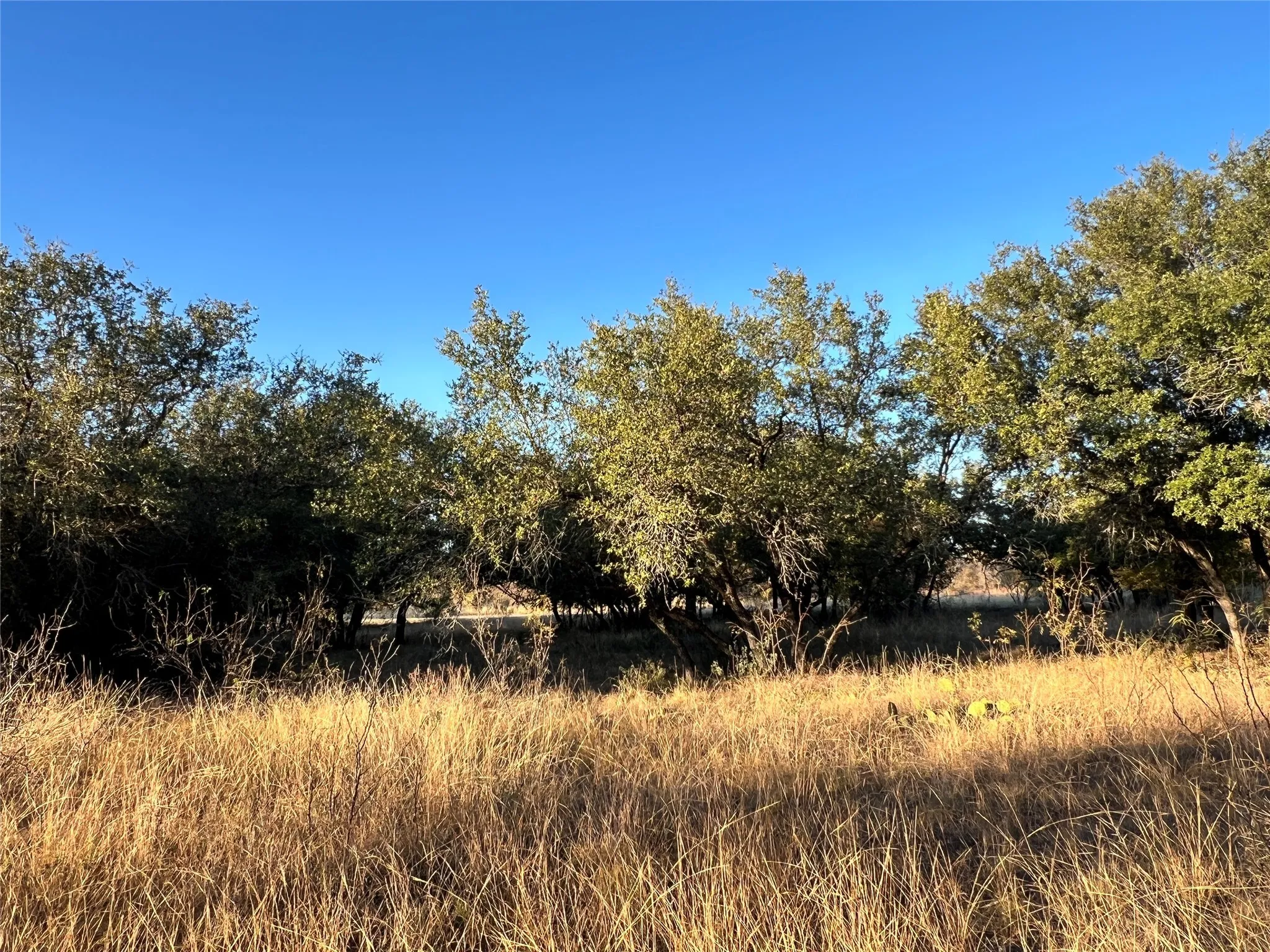 Unimproved Land For Sale in Brown County , TBD2 Feather Bay Drive, Brownwood, Texas 76801, 0, 0, Garage spaces, 0 Sqft, built in 0, mls#20789184, Real Estate Agent in Brownwood, Homes For Sale in Brown county, Homes For Sale in Brownwood, Realtor in Brownwood Texas, Real Estate Brokerage Independent Realty Texas, Luminita Cordes Realtor