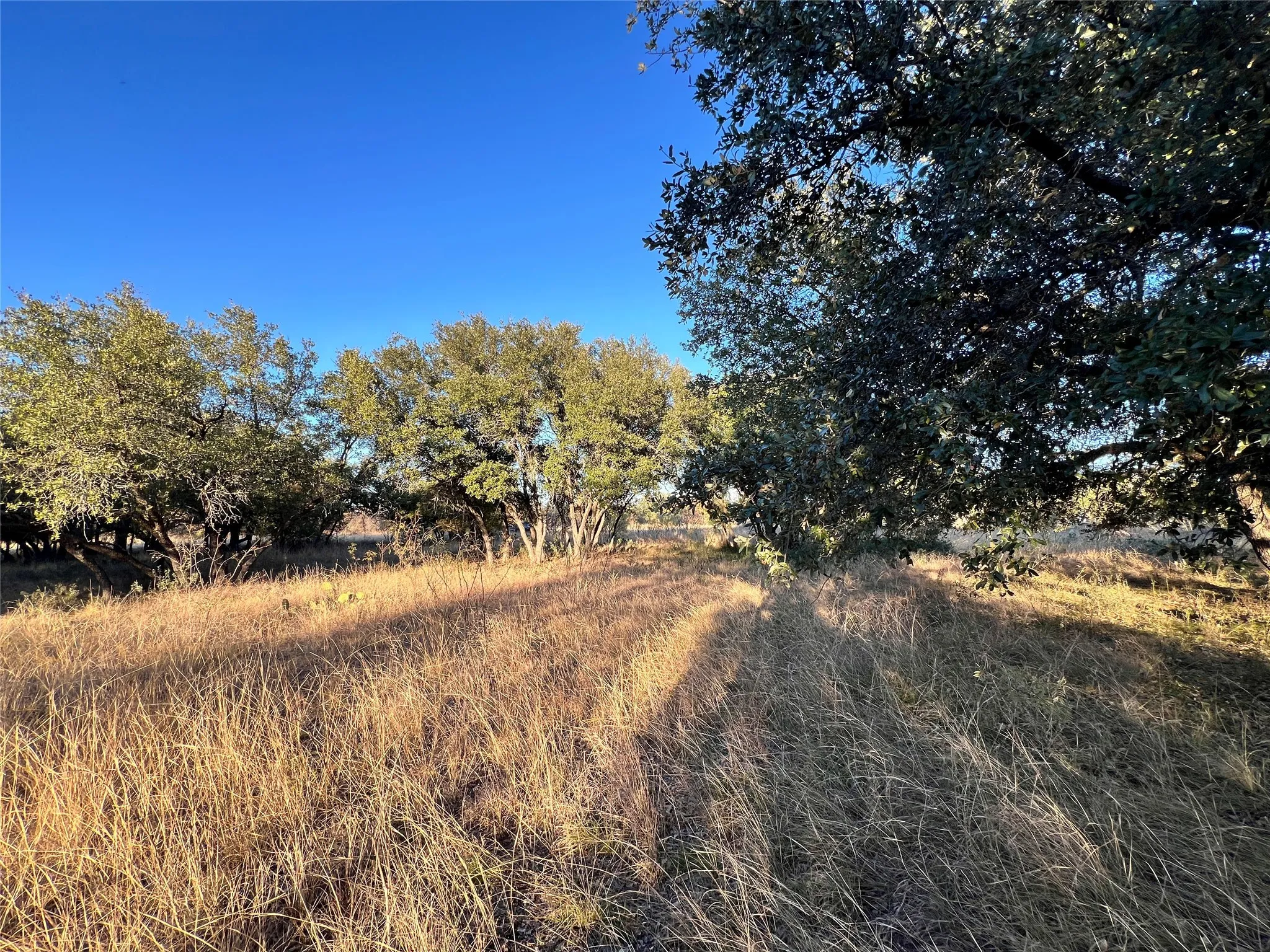 Unimproved Land For Sale in Brown County , TBD2 Feather Bay Drive, Brownwood, Texas 76801, 0, 0, Garage spaces, 0 Sqft, built in 0, mls#20789184, Real Estate Agent in Brownwood, Homes For Sale in Brown county, Homes For Sale in Brownwood, Realtor in Brownwood Texas, Real Estate Brokerage Independent Realty Texas, Luminita Cordes Realtor