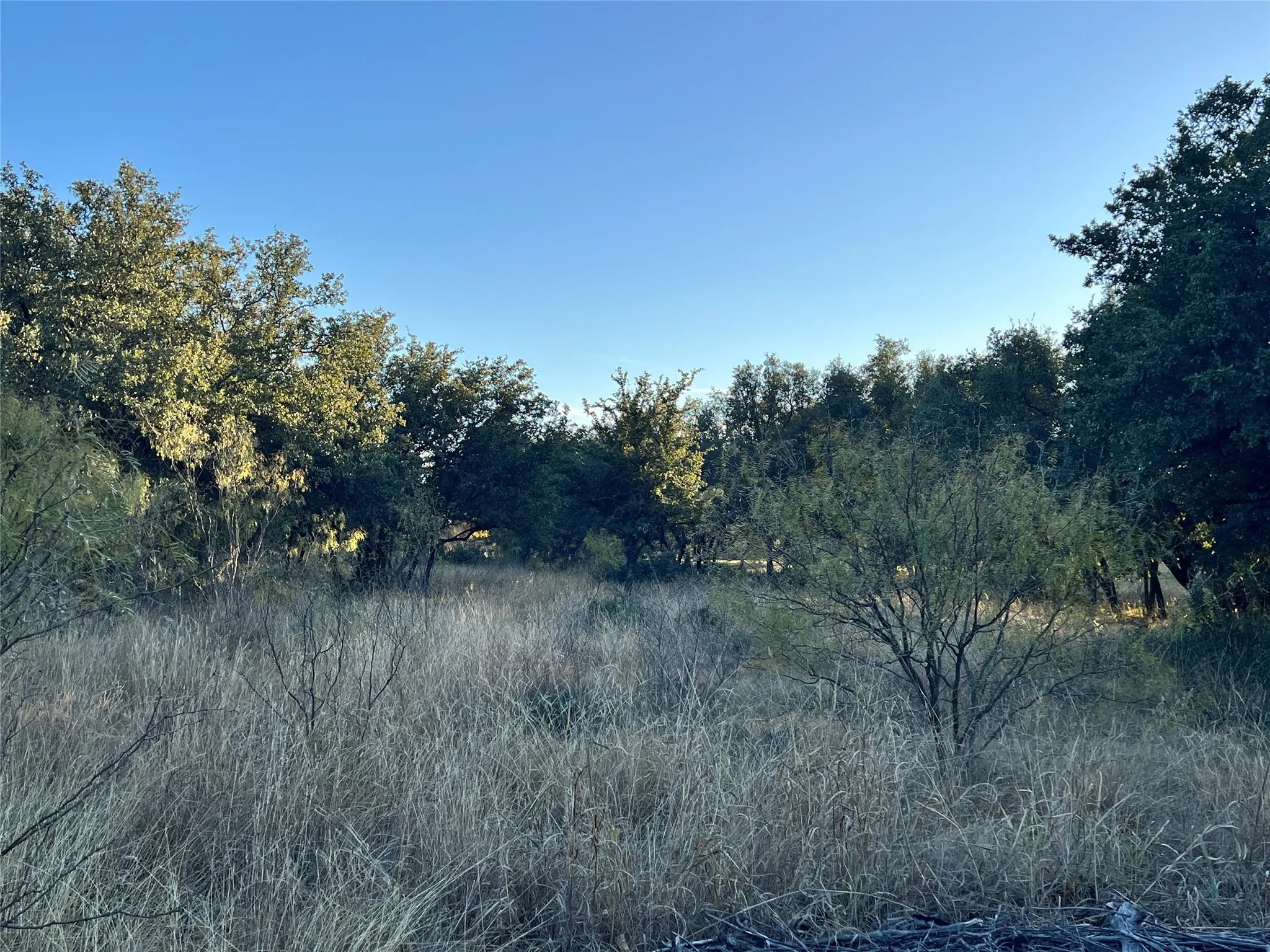 Unimproved Land For Sale in Brown County , TBD2 Feather Bay Drive, Brownwood, Texas 76801, 0, 0, Garage spaces, 0 Sqft, built in 0, mls#20789184, Real Estate Agent in Brownwood, Homes For Sale in Brown county, Homes For Sale in Brownwood, Realtor in Brownwood Texas, Real Estate Brokerage Independent Realty Texas, Luminita Cordes Realtor