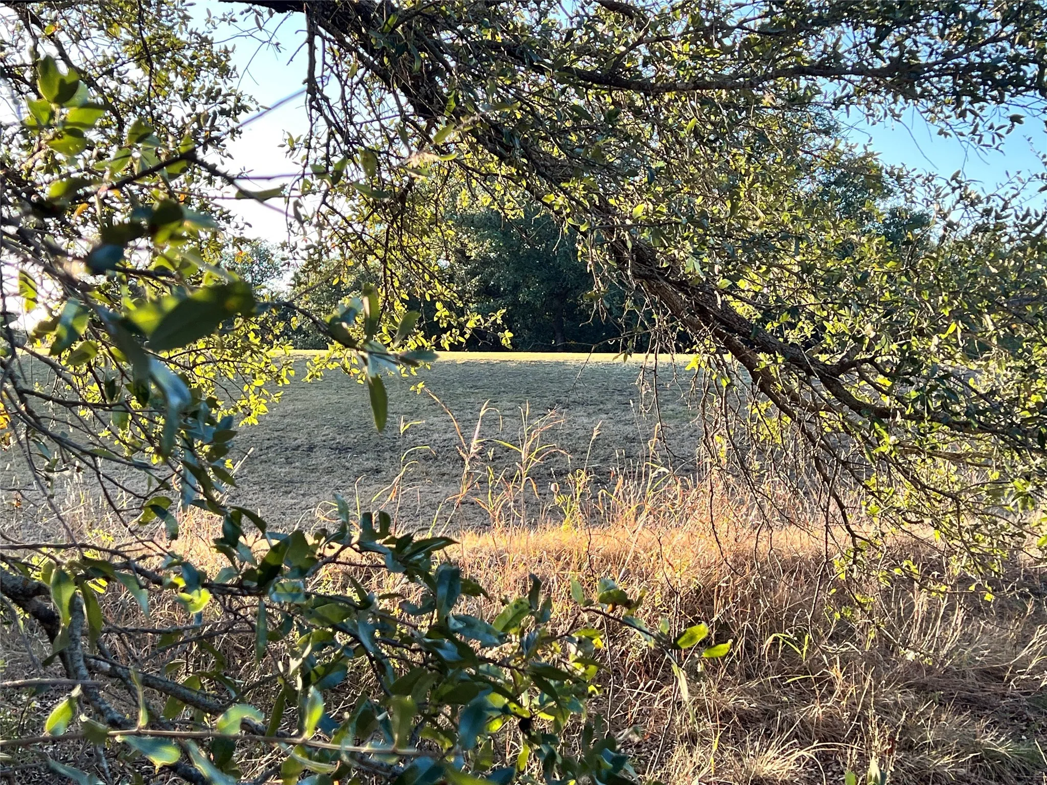Unimproved Land For Sale in Brown County , TBD2 Feather Bay Drive, Brownwood, Texas 76801, 0, 0, Garage spaces, 0 Sqft, built in 0, mls#20789184, Real Estate Agent in Brownwood, Homes For Sale in Brown county, Homes For Sale in Brownwood, Realtor in Brownwood Texas, Real Estate Brokerage Independent Realty Texas, Luminita Cordes Realtor
