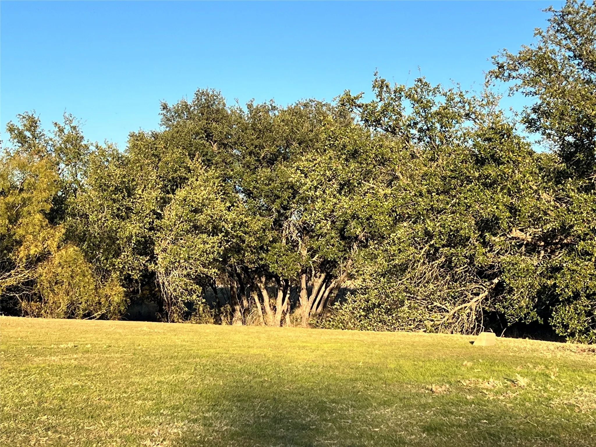 Unimproved Land For Sale in Brown County , TBD2 Feather Bay Drive, Brownwood, Texas 76801, 0, 0, Garage spaces, 0 Sqft, built in 0, mls#20789184, Real Estate Agent in Brownwood, Homes For Sale in Brown county, Homes For Sale in Brownwood, Realtor in Brownwood Texas, Real Estate Brokerage Independent Realty Texas, Luminita Cordes Realtor