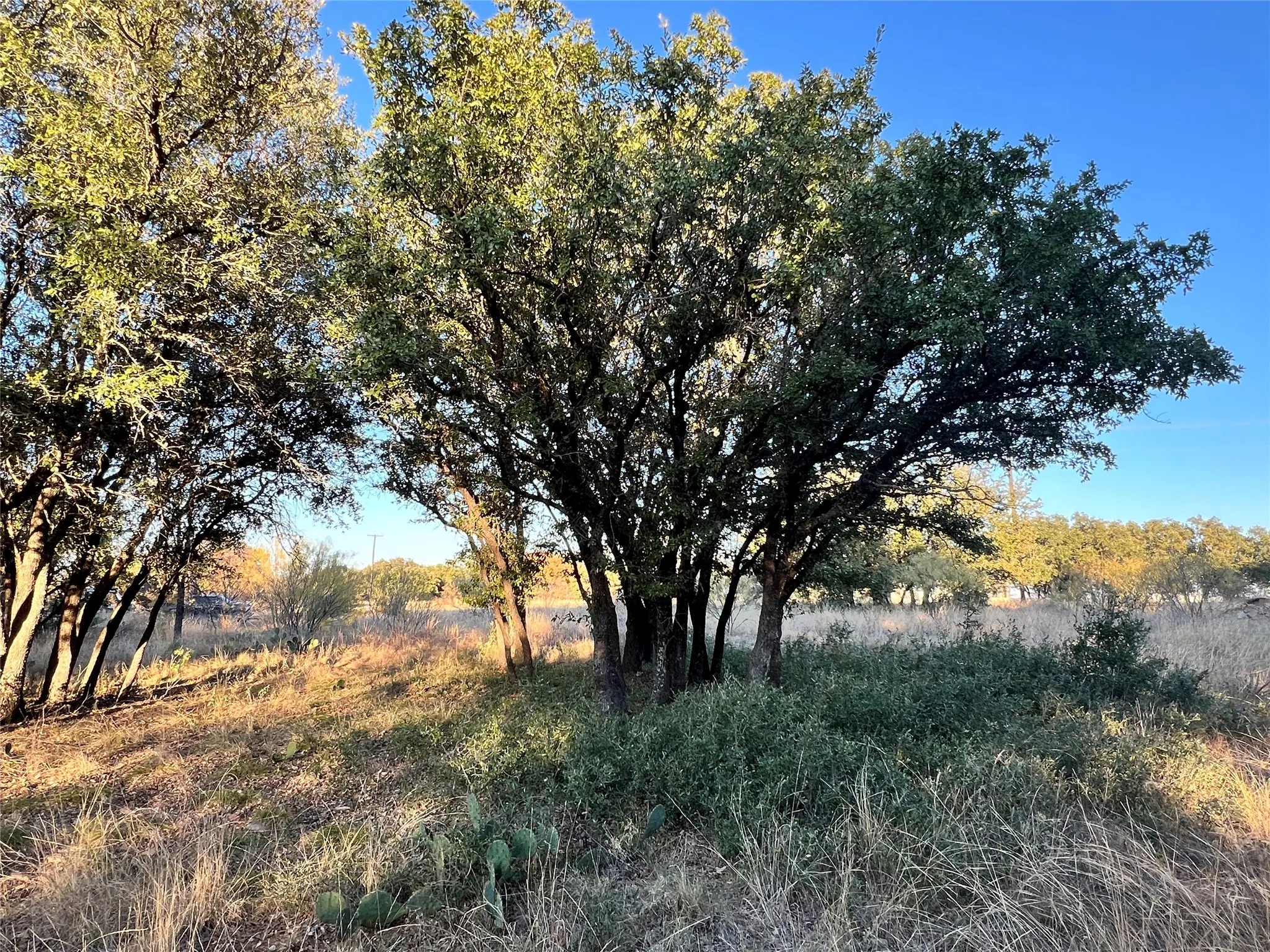 Unimproved Land For Sale in Brown County , TBD2 Feather Bay Drive, Brownwood, Texas 76801, 0, 0, Garage spaces, 0 Sqft, built in 0, mls#20789184, Real Estate Agent in Brownwood, Homes For Sale in Brown county, Homes For Sale in Brownwood, Realtor in Brownwood Texas, Real Estate Brokerage Independent Realty Texas, Luminita Cordes Realtor