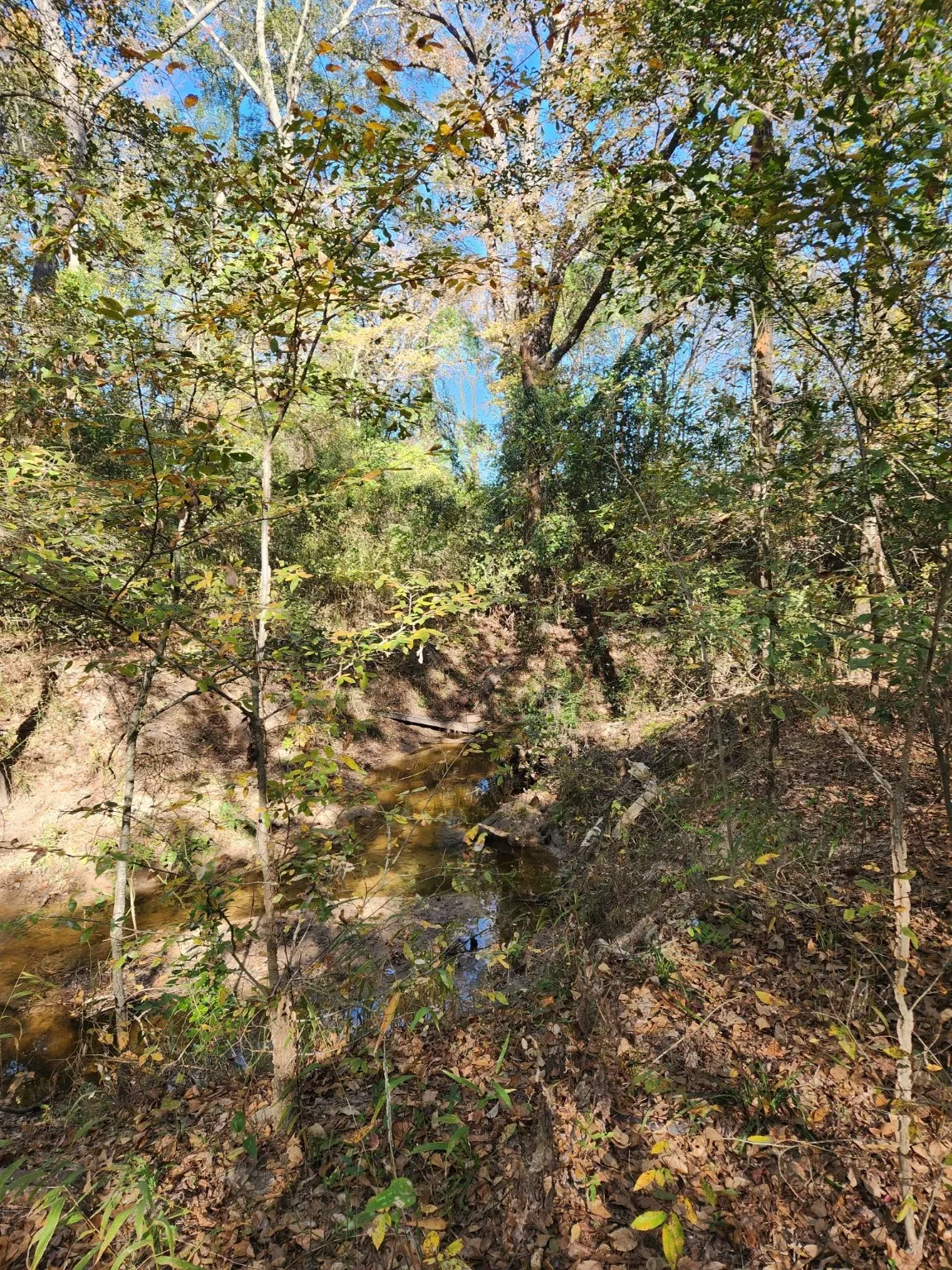 Unimproved Land For Sale in Henderson County , 6419 Locust Street, Murchison, Texas 75778, 0, 0, Garage spaces, 0 Sqft, built in 0, Price $55,000, mls#20784332, Real Estate Agent in Murchison, Homes For Sale in Henderson county, Homes For Sale in Murchison, Realtor in Murchison Texas, Real Estate Brokerage Independent Realty Texas, Luminita Cordes Realtor