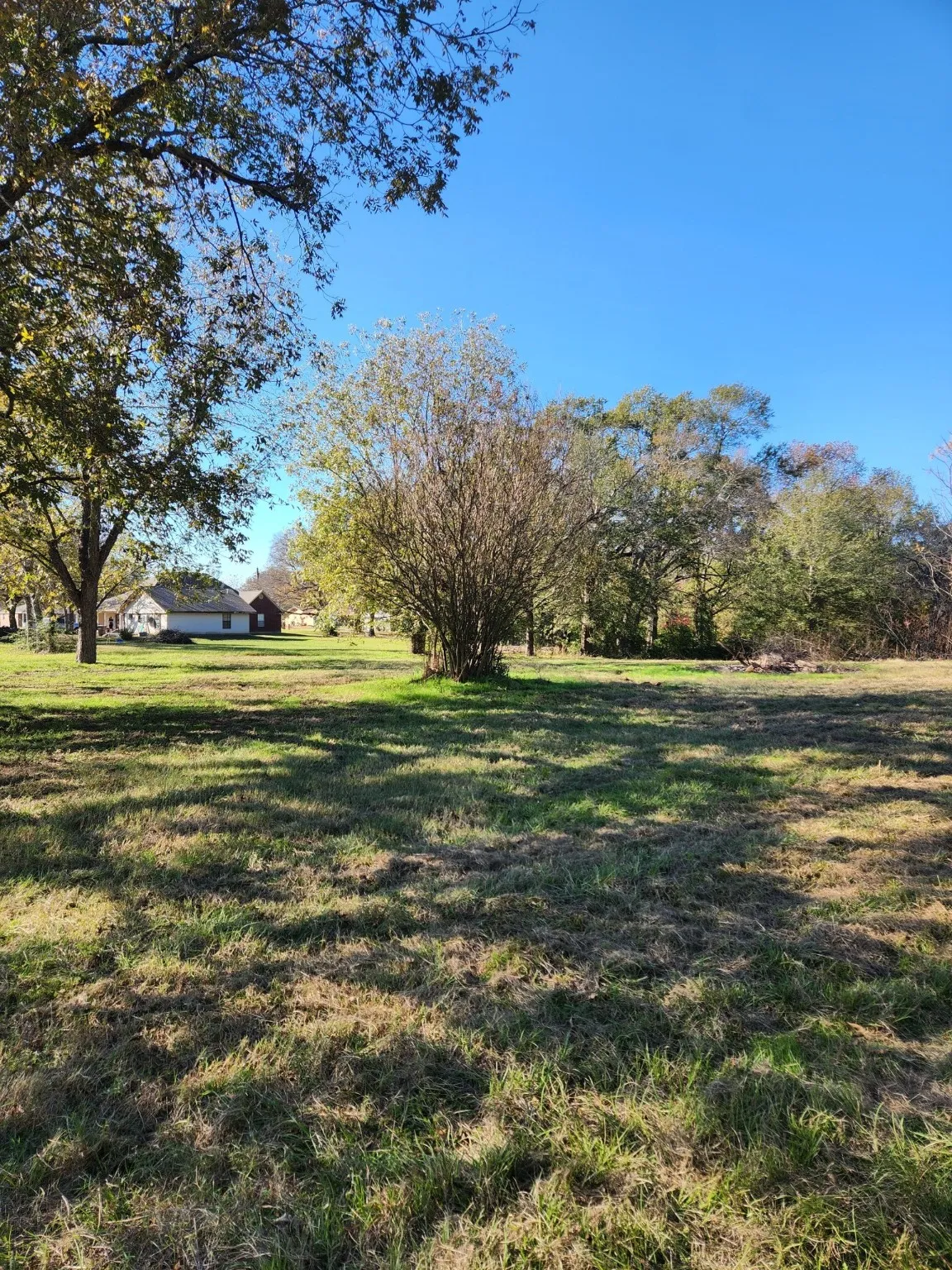 Unimproved Land For Sale in Henderson County , 6419 Locust Street, Murchison, Texas 75778, 0, 0, Garage spaces, 0 Sqft, built in 0, Price $55,000, mls#20784332, Real Estate Agent in Murchison, Homes For Sale in Henderson county, Homes For Sale in Murchison, Realtor in Murchison Texas, Real Estate Brokerage Independent Realty Texas, Luminita Cordes Realtor