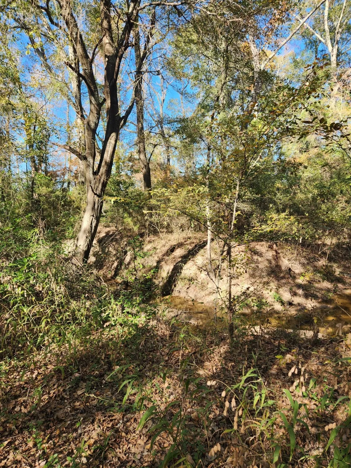Unimproved Land For Sale in Henderson County , 6419 Locust Street, Murchison, Texas 75778, 0, 0, Garage spaces, 0 Sqft, built in 0, Price $55,000, mls#20784332, Real Estate Agent in Murchison, Homes For Sale in Henderson county, Homes For Sale in Murchison, Realtor in Murchison Texas, Real Estate Brokerage Independent Realty Texas, Luminita Cordes Realtor