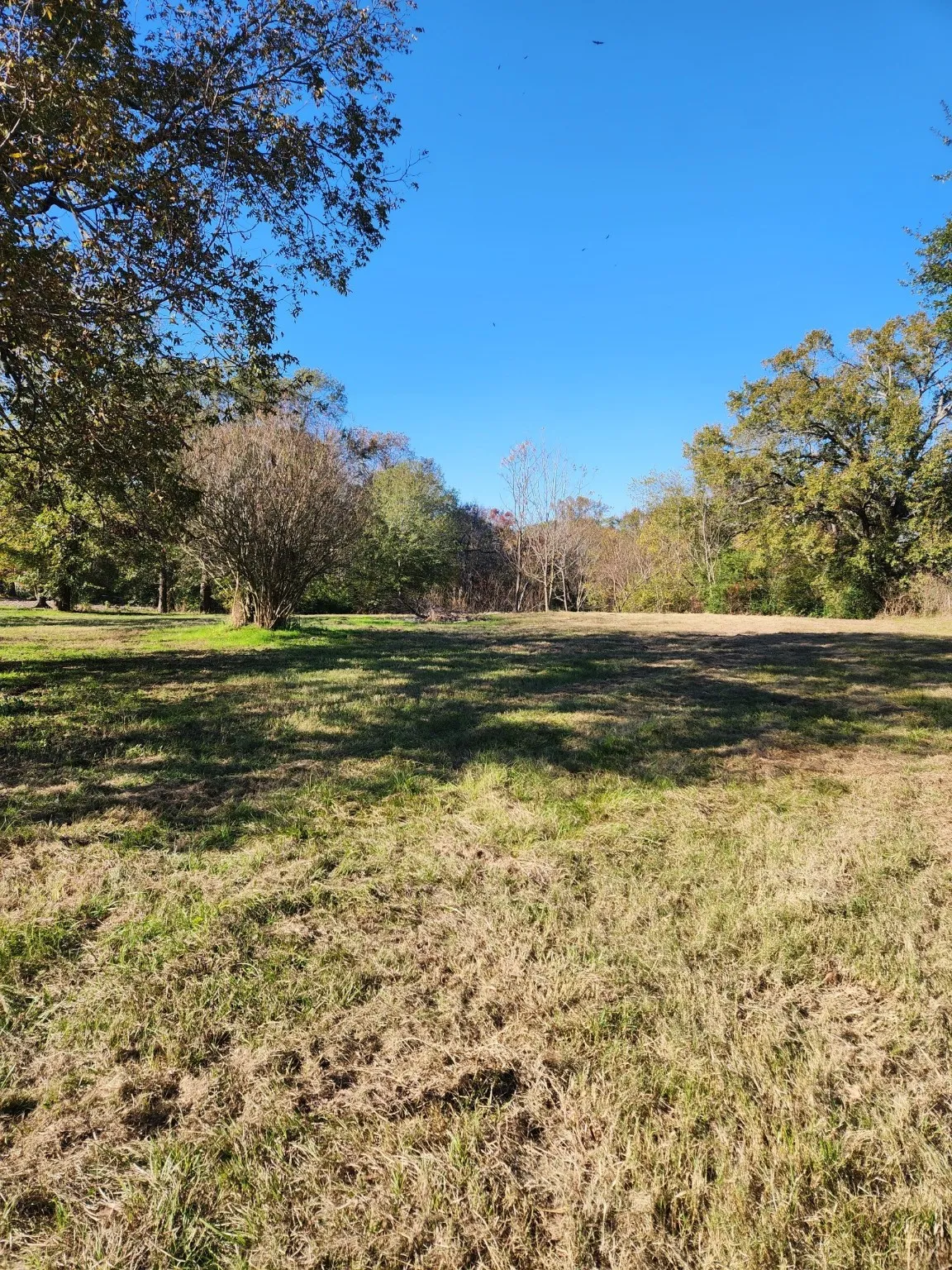 Unimproved Land For Sale in Henderson County , 6419 Locust Street, Murchison, Texas 75778, 0, 0, Garage spaces, 0 Sqft, built in 0, Price $55,000, mls#20784332, Real Estate Agent in Murchison, Homes For Sale in Henderson county, Homes For Sale in Murchison, Realtor in Murchison Texas, Real Estate Brokerage Independent Realty Texas, Luminita Cordes Realtor