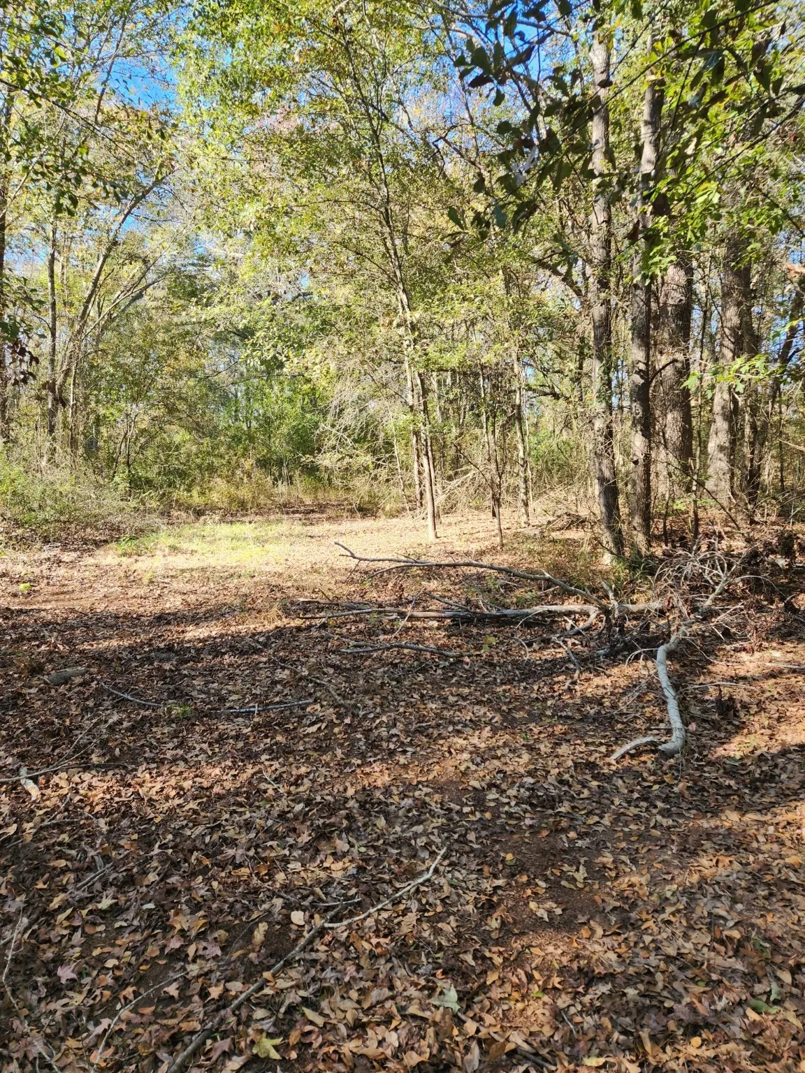 Unimproved Land For Sale in Henderson County , 6419 Locust Street, Murchison, Texas 75778, 0, 0, Garage spaces, 0 Sqft, built in 0, Price $55,000, mls#20784332, Real Estate Agent in Murchison, Homes For Sale in Henderson county, Homes For Sale in Murchison, Realtor in Murchison Texas, Real Estate Brokerage Independent Realty Texas, Luminita Cordes Realtor