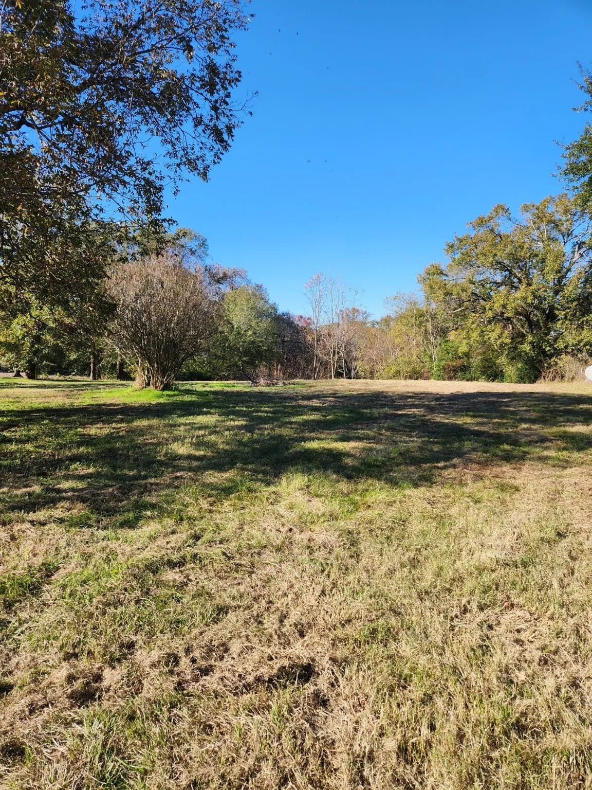 Unimproved Land For Sale in Henderson County , 6419 Locust Street, Murchison, Texas 75778, 0, 0, Garage spaces, 0 Sqft, built in 0, Price $55,000, mls#20784332, Real Estate Agent in Murchison, Homes For Sale in Henderson county, Homes For Sale in Murchison, Realtor in Murchison Texas, Real Estate Brokerage Independent Realty Texas, Luminita Cordes Realtor