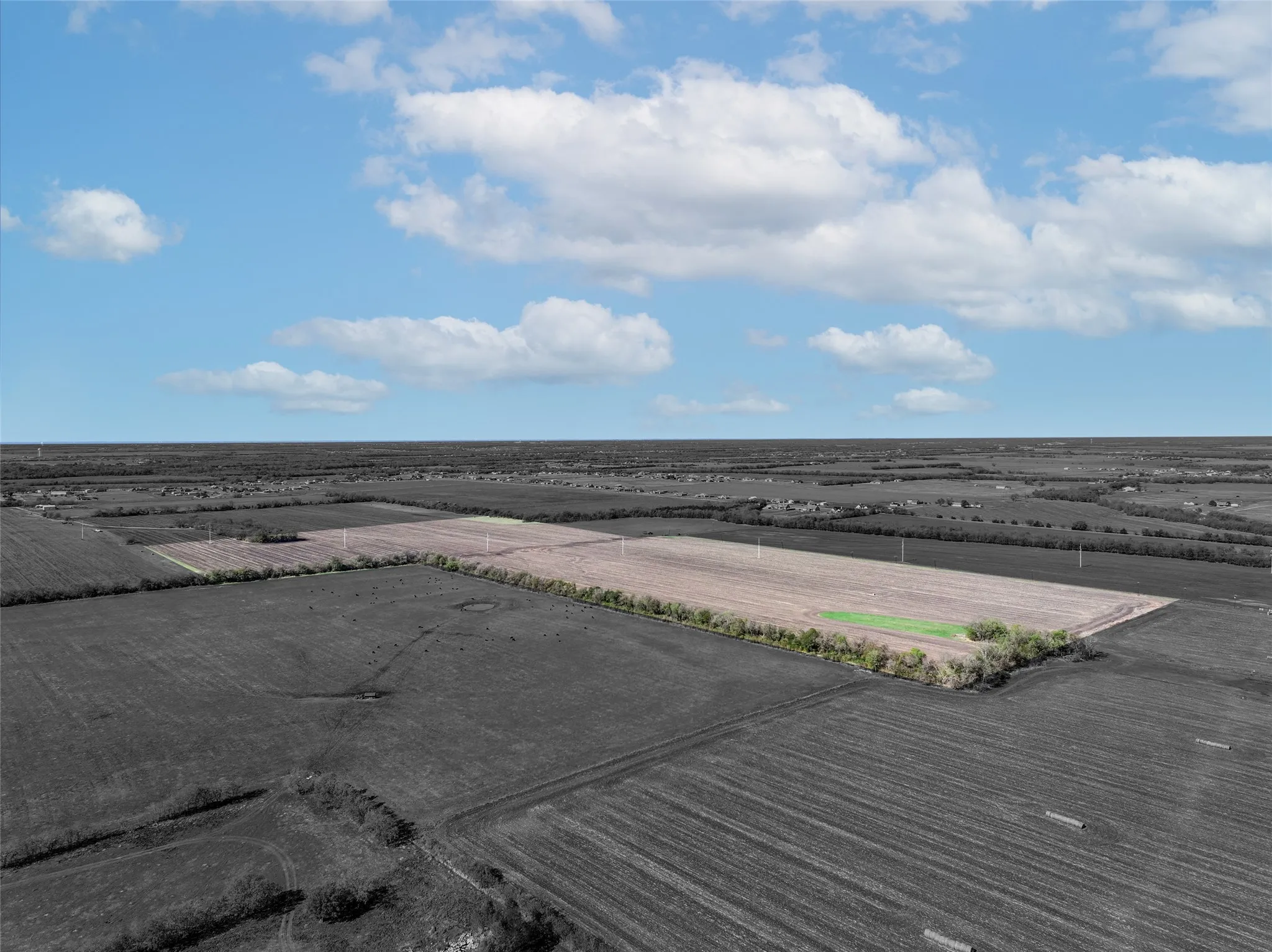 Unimproved Land For Sale in Hunt County , TBD Cr-2142, Caddo Mills, Texas 75135, 0, 0, Garage spaces, 0 Sqft, built in 0, mls#20782193, Real Estate Agent in Caddo Mills, Homes For Sale in Hunt county, Homes For Sale in Caddo Mills, Realtor in Caddo Mills Texas, Real Estate Brokerage Independent Realty Texas, Luminita Cordes Realtor