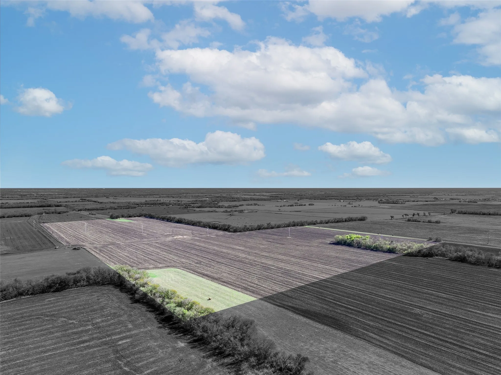 Unimproved Land For Sale in Hunt County , TBD Cr-2142, Caddo Mills, Texas 75135, 0, 0, Garage spaces, 0 Sqft, built in 0, mls#20782193, Real Estate Agent in Caddo Mills, Homes For Sale in Hunt county, Homes For Sale in Caddo Mills, Realtor in Caddo Mills Texas, Real Estate Brokerage Independent Realty Texas, Luminita Cordes Realtor