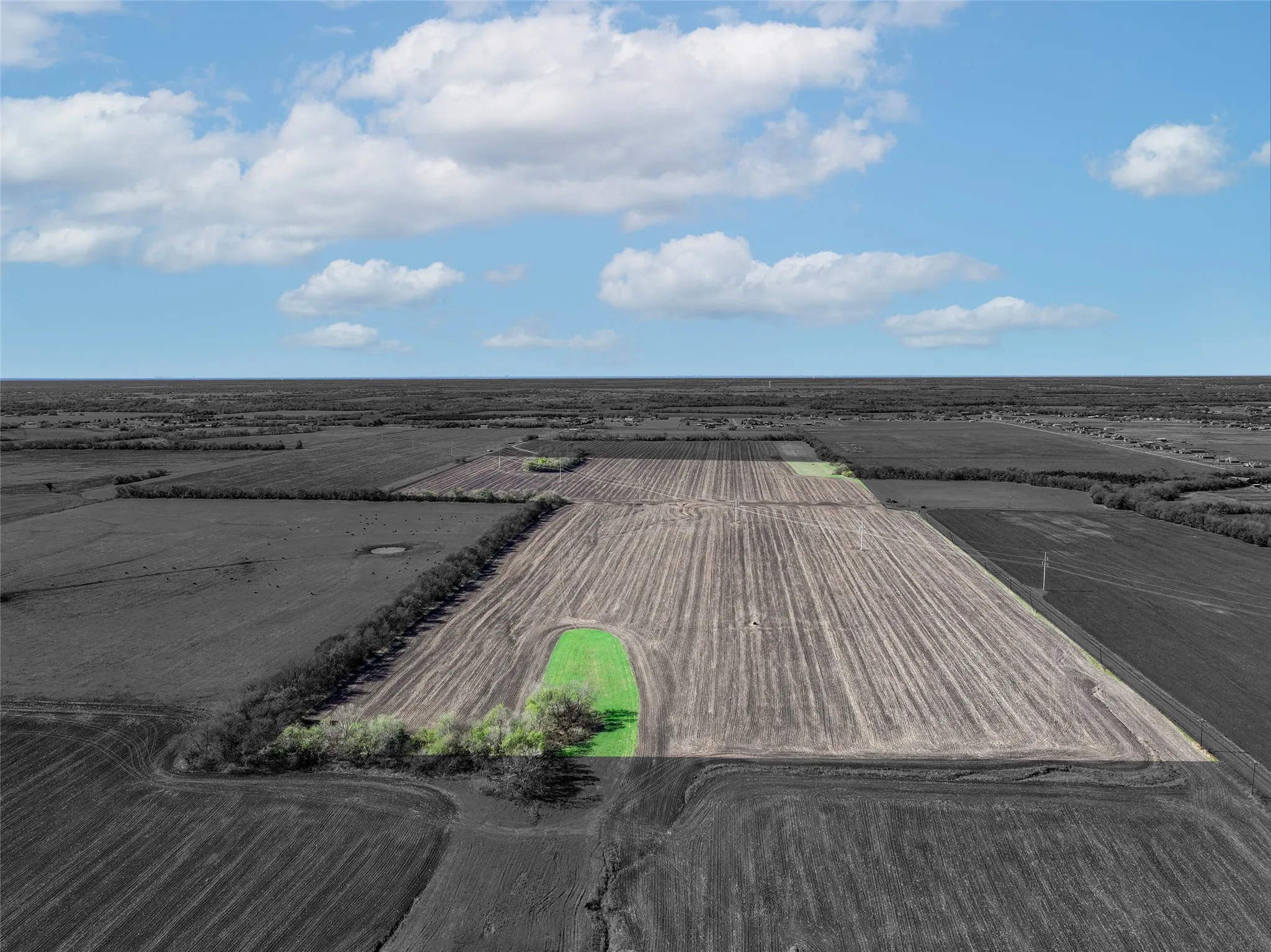 Unimproved Land For Sale in Hunt County , TBD Cr-2142, Caddo Mills, Texas 75135, 0, 0, Garage spaces, 0 Sqft, built in 0, mls#20782193, Real Estate Agent in Caddo Mills, Homes For Sale in Hunt county, Homes For Sale in Caddo Mills, Realtor in Caddo Mills Texas, Real Estate Brokerage Independent Realty Texas, Luminita Cordes Realtor