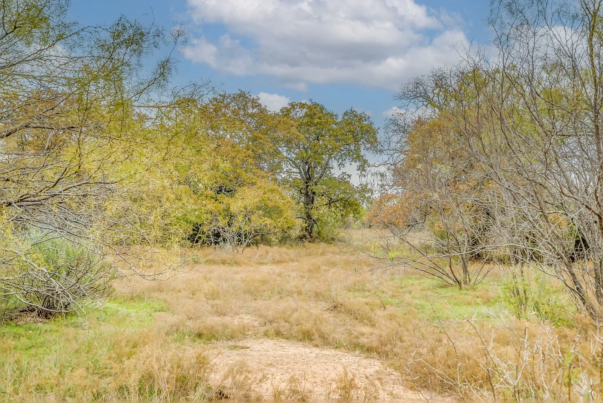 Ranch For Sale in Eastland County , 191+-Ac FM 2945, Cisco, Texas 76437, 0, 0, Garage spaces, 0 Sqft, built in 0, mls#20793823, Real Estate Agent in Cisco, Homes For Sale in Eastland county, Homes For Sale in Cisco, Realtor in Cisco Texas, Real Estate Brokerage Independent Realty Texas, Luminita Cordes Realtor