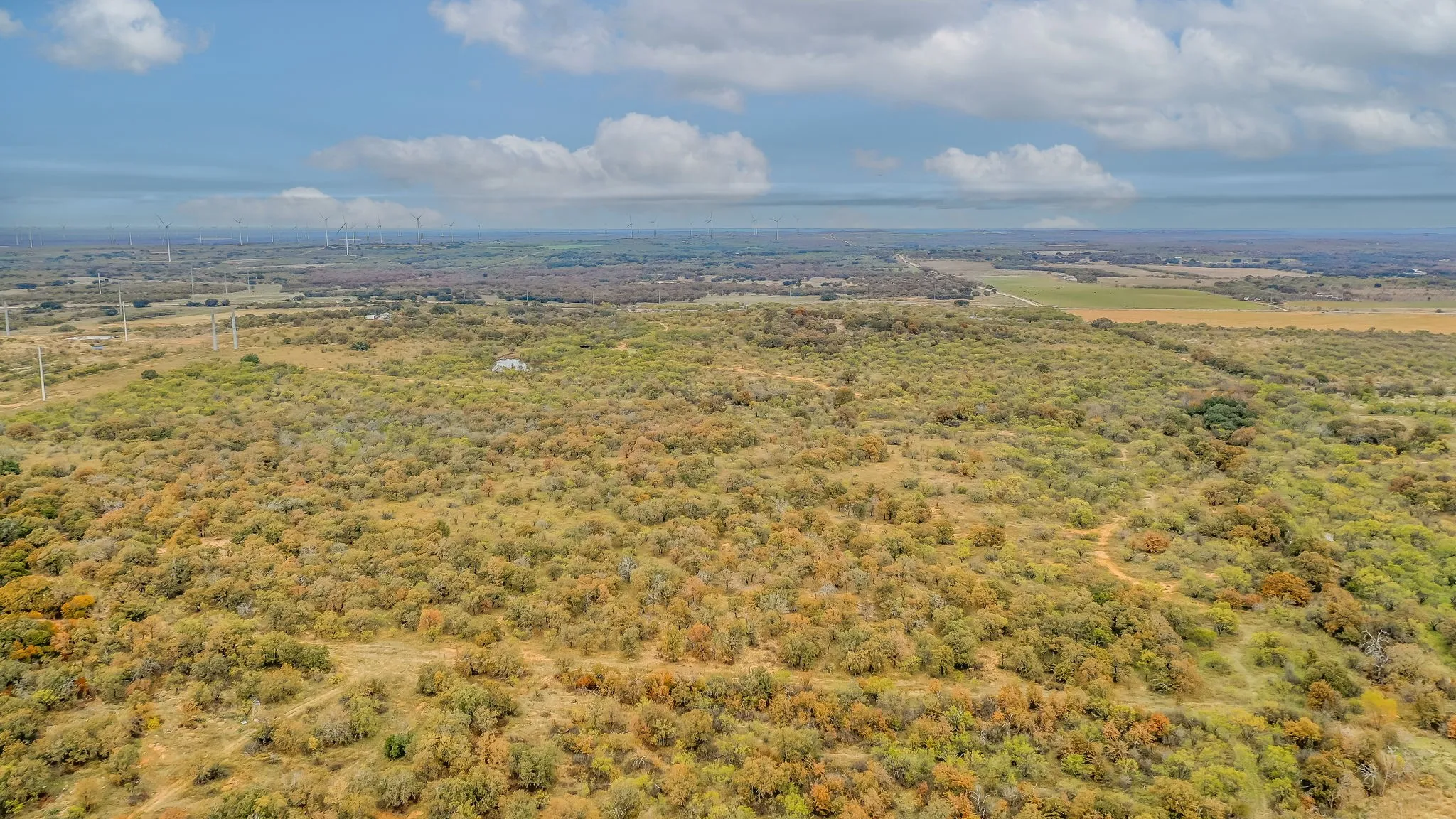 Ranch For Sale in Eastland County , 191+-Ac FM 2945, Cisco, Texas 76437, 0, 0, Garage spaces, 0 Sqft, built in 0, mls#20793823, Real Estate Agent in Cisco, Homes For Sale in Eastland county, Homes For Sale in Cisco, Realtor in Cisco Texas, Real Estate Brokerage Independent Realty Texas, Luminita Cordes Realtor