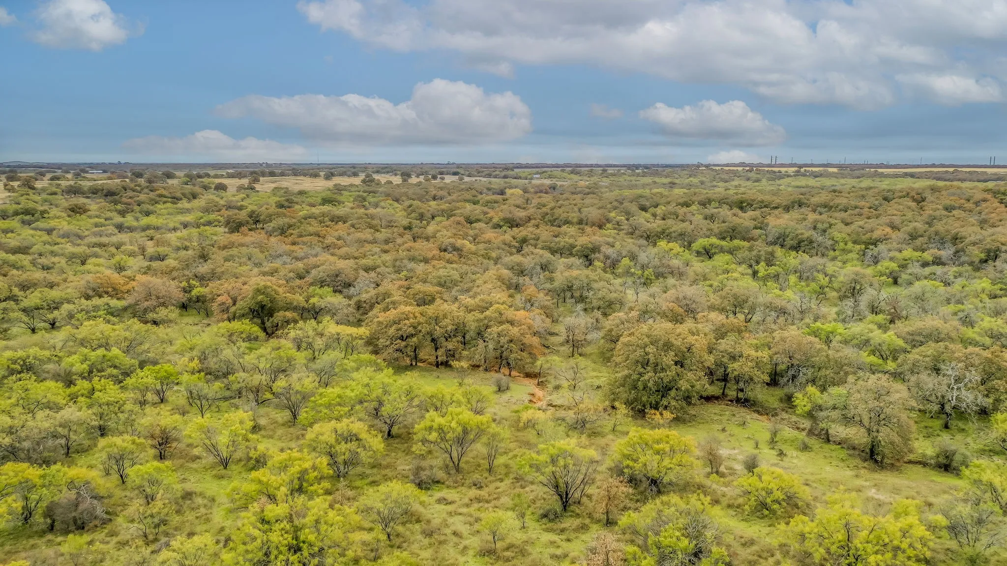 Ranch For Sale in Eastland County , 191+-Ac FM 2945, Cisco, Texas 76437, 0, 0, Garage spaces, 0 Sqft, built in 0, mls#20793823, Real Estate Agent in Cisco, Homes For Sale in Eastland county, Homes For Sale in Cisco, Realtor in Cisco Texas, Real Estate Brokerage Independent Realty Texas, Luminita Cordes Realtor