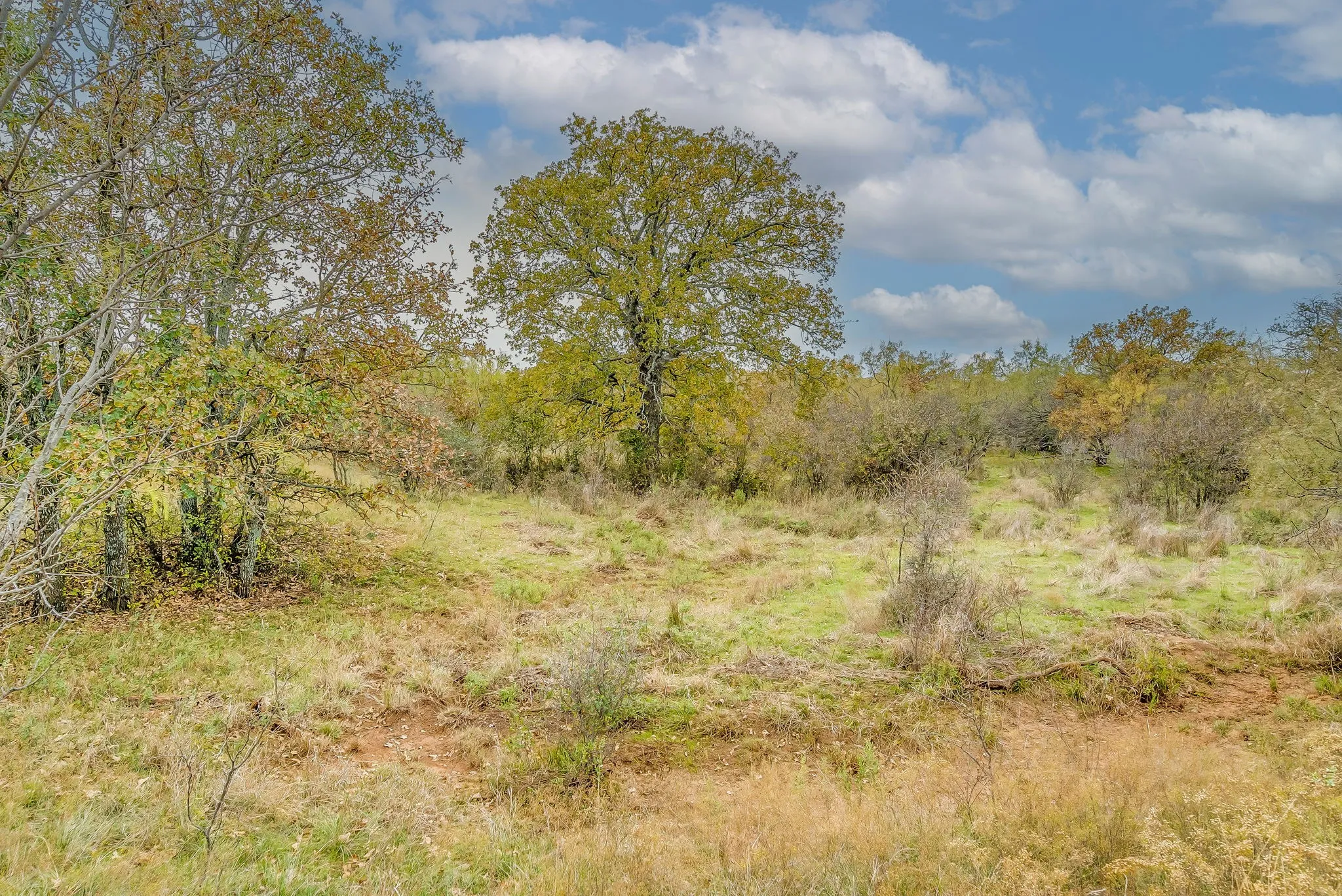Ranch For Sale in Eastland County , 191+-Ac FM 2945, Cisco, Texas 76437, 0, 0, Garage spaces, 0 Sqft, built in 0, mls#20793823, Real Estate Agent in Cisco, Homes For Sale in Eastland county, Homes For Sale in Cisco, Realtor in Cisco Texas, Real Estate Brokerage Independent Realty Texas, Luminita Cordes Realtor