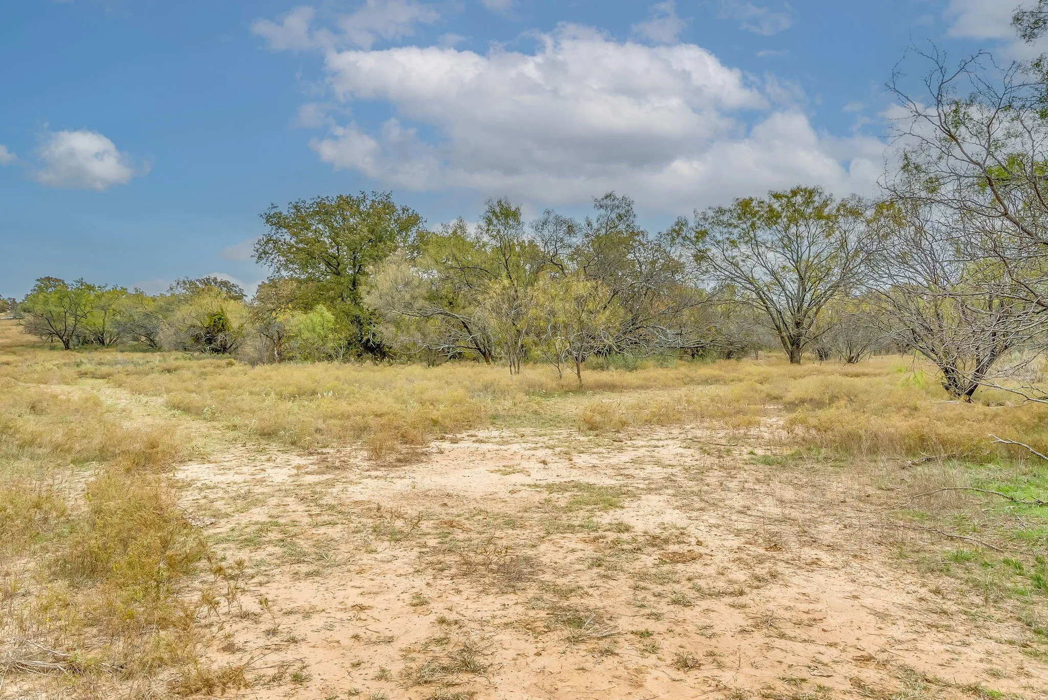 Ranch For Sale in Eastland County , 191+-Ac FM 2945, Cisco, Texas 76437, 0, 0, Garage spaces, 0 Sqft, built in 0, mls#20793823, Real Estate Agent in Cisco, Homes For Sale in Eastland county, Homes For Sale in Cisco, Realtor in Cisco Texas, Real Estate Brokerage Independent Realty Texas, Luminita Cordes Realtor