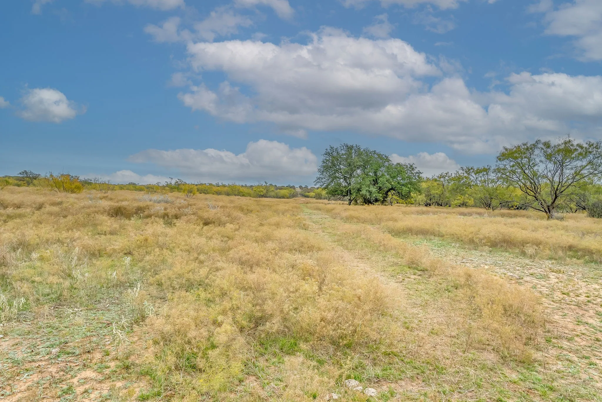 Ranch For Sale in Eastland County , 191+-Ac FM 2945, Cisco, Texas 76437, 0, 0, Garage spaces, 0 Sqft, built in 0, mls#20793823, Real Estate Agent in Cisco, Homes For Sale in Eastland county, Homes For Sale in Cisco, Realtor in Cisco Texas, Real Estate Brokerage Independent Realty Texas, Luminita Cordes Realtor