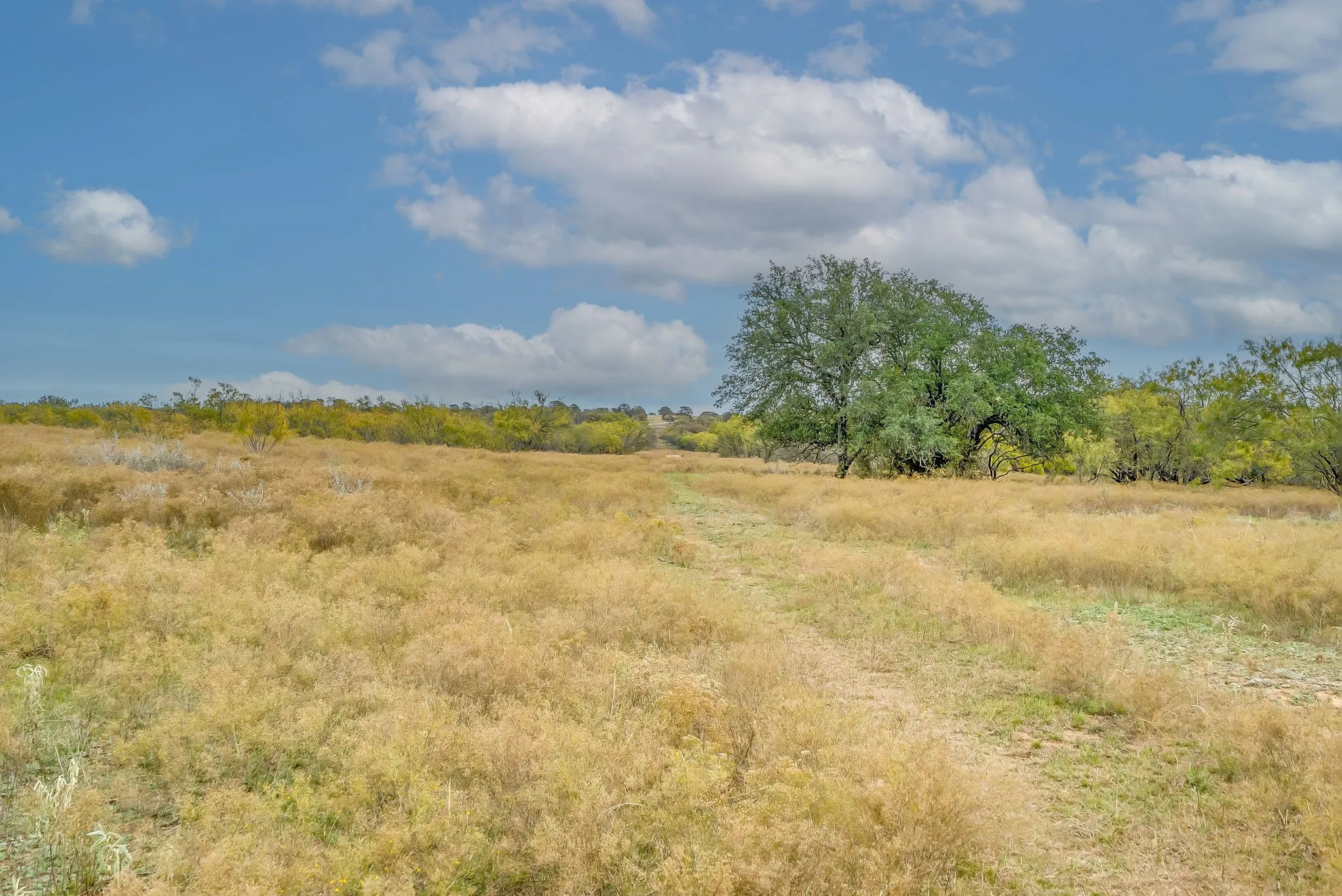 Ranch For Sale in Eastland County , 191+-Ac FM 2945, Cisco, Texas 76437, 0, 0, Garage spaces, 0 Sqft, built in 0, mls#20793823, Real Estate Agent in Cisco, Homes For Sale in Eastland county, Homes For Sale in Cisco, Realtor in Cisco Texas, Real Estate Brokerage Independent Realty Texas, Luminita Cordes Realtor