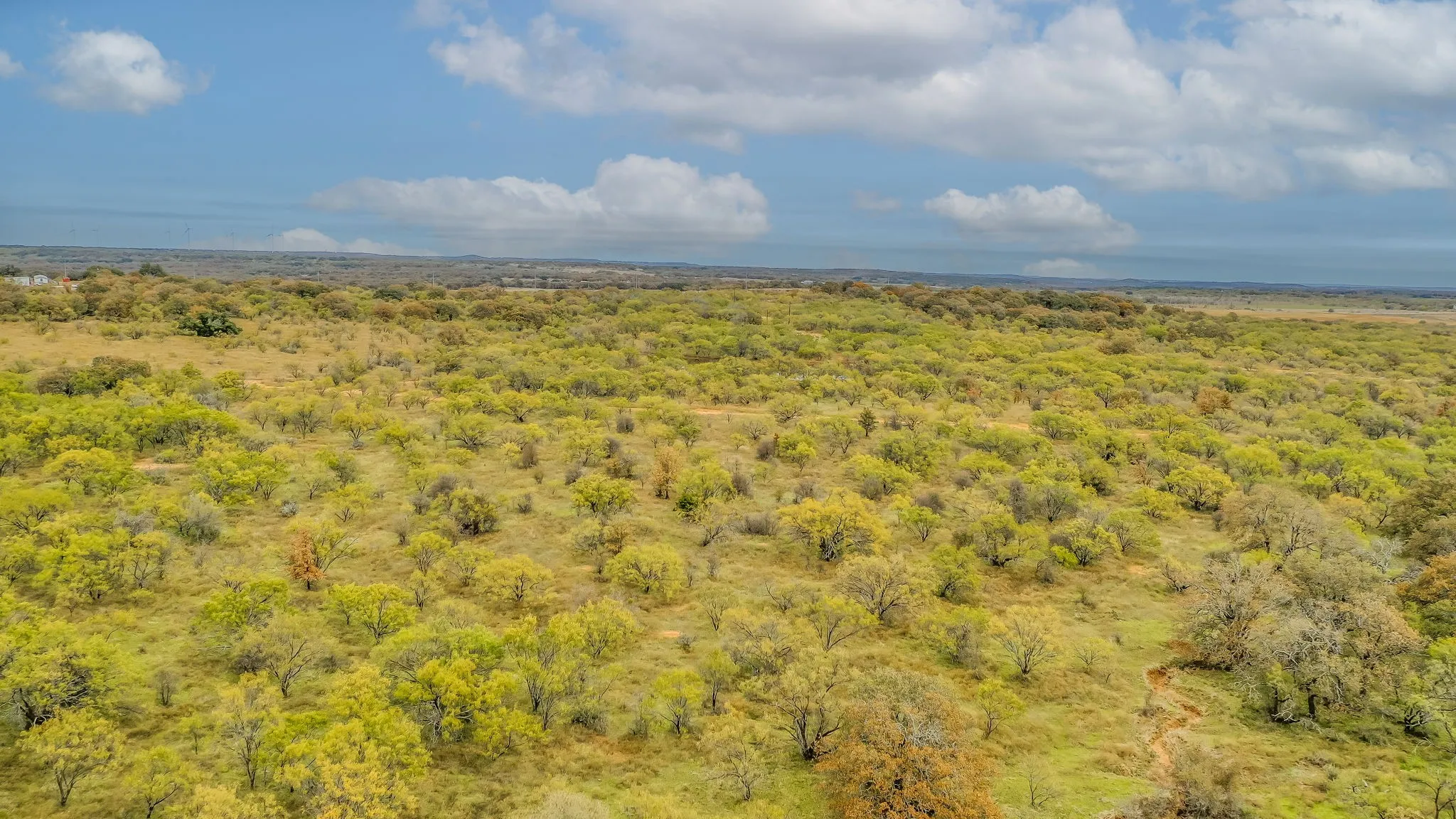 Ranch For Sale in Eastland County , 191+-Ac FM 2945, Cisco, Texas 76437, 0, 0, Garage spaces, 0 Sqft, built in 0, mls#20793823, Real Estate Agent in Cisco, Homes For Sale in Eastland county, Homes For Sale in Cisco, Realtor in Cisco Texas, Real Estate Brokerage Independent Realty Texas, Luminita Cordes Realtor