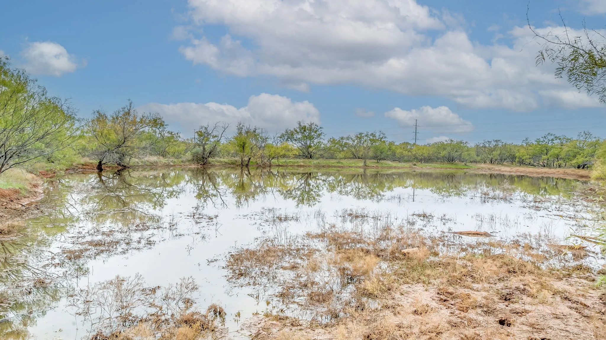 Ranch For Sale in Eastland County , 191+-Ac FM 2945, Cisco, Texas 76437, 0, 0, Garage spaces, 0 Sqft, built in 0, mls#20793823, Real Estate Agent in Cisco, Homes For Sale in Eastland county, Homes For Sale in Cisco, Realtor in Cisco Texas, Real Estate Brokerage Independent Realty Texas, Luminita Cordes Realtor
