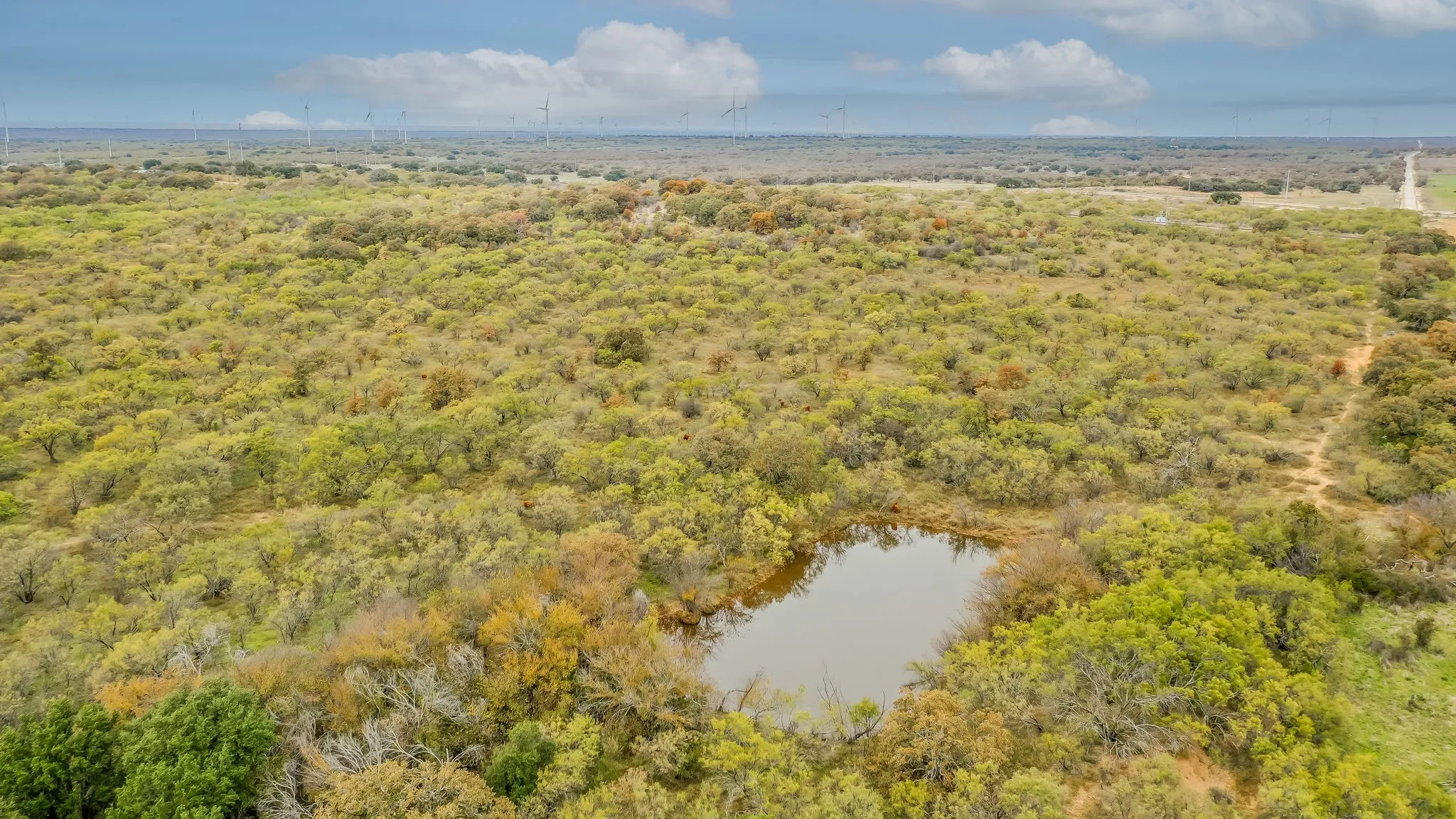 Ranch For Sale in Eastland County , 191+-Ac FM 2945, Cisco, Texas 76437, 0, 0, Garage spaces, 0 Sqft, built in 0, mls#20793823, Real Estate Agent in Cisco, Homes For Sale in Eastland county, Homes For Sale in Cisco, Realtor in Cisco Texas, Real Estate Brokerage Independent Realty Texas, Luminita Cordes Realtor
