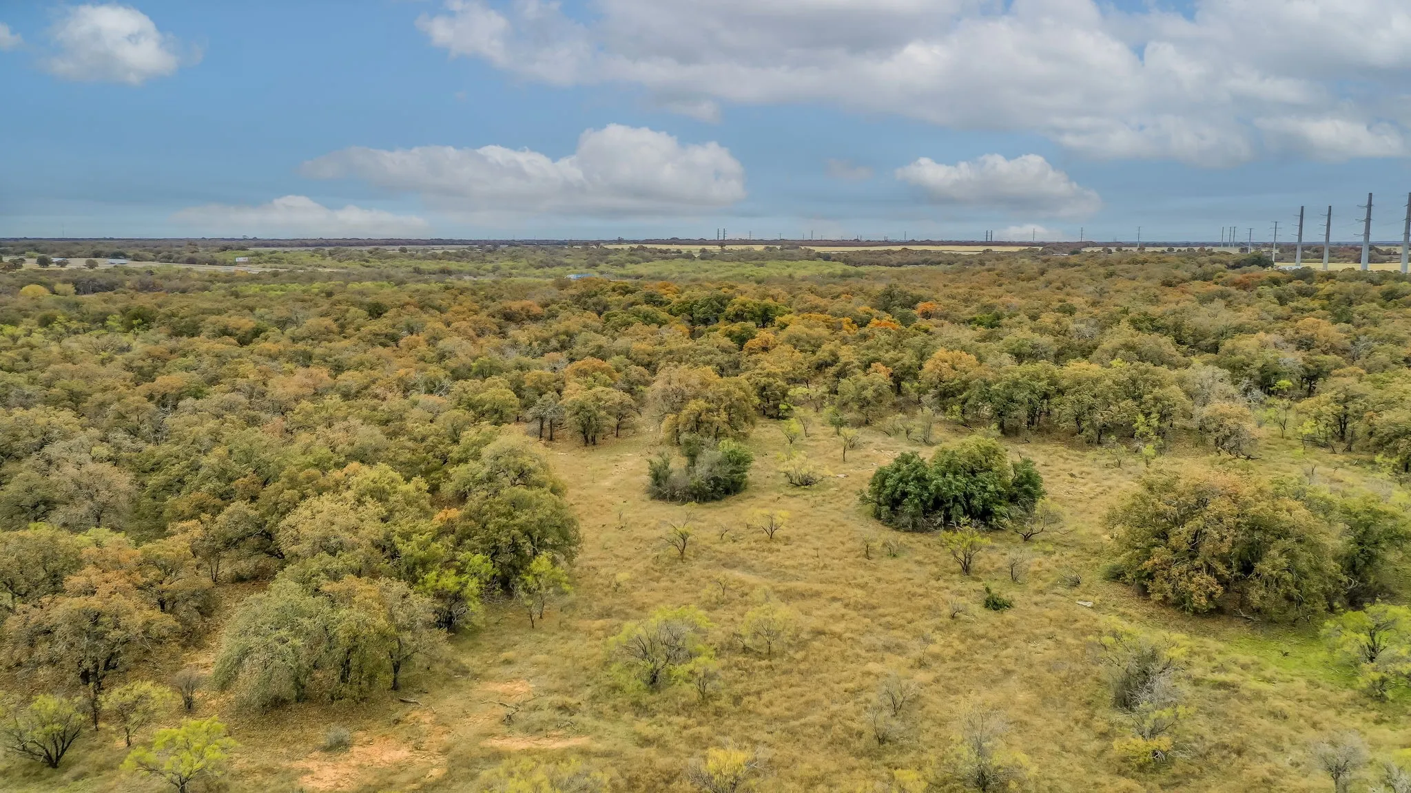 Ranch For Sale in Eastland County , 191+-Ac FM 2945, Cisco, Texas 76437, 0, 0, Garage spaces, 0 Sqft, built in 0, mls#20793823, Real Estate Agent in Cisco, Homes For Sale in Eastland county, Homes For Sale in Cisco, Realtor in Cisco Texas, Real Estate Brokerage Independent Realty Texas, Luminita Cordes Realtor