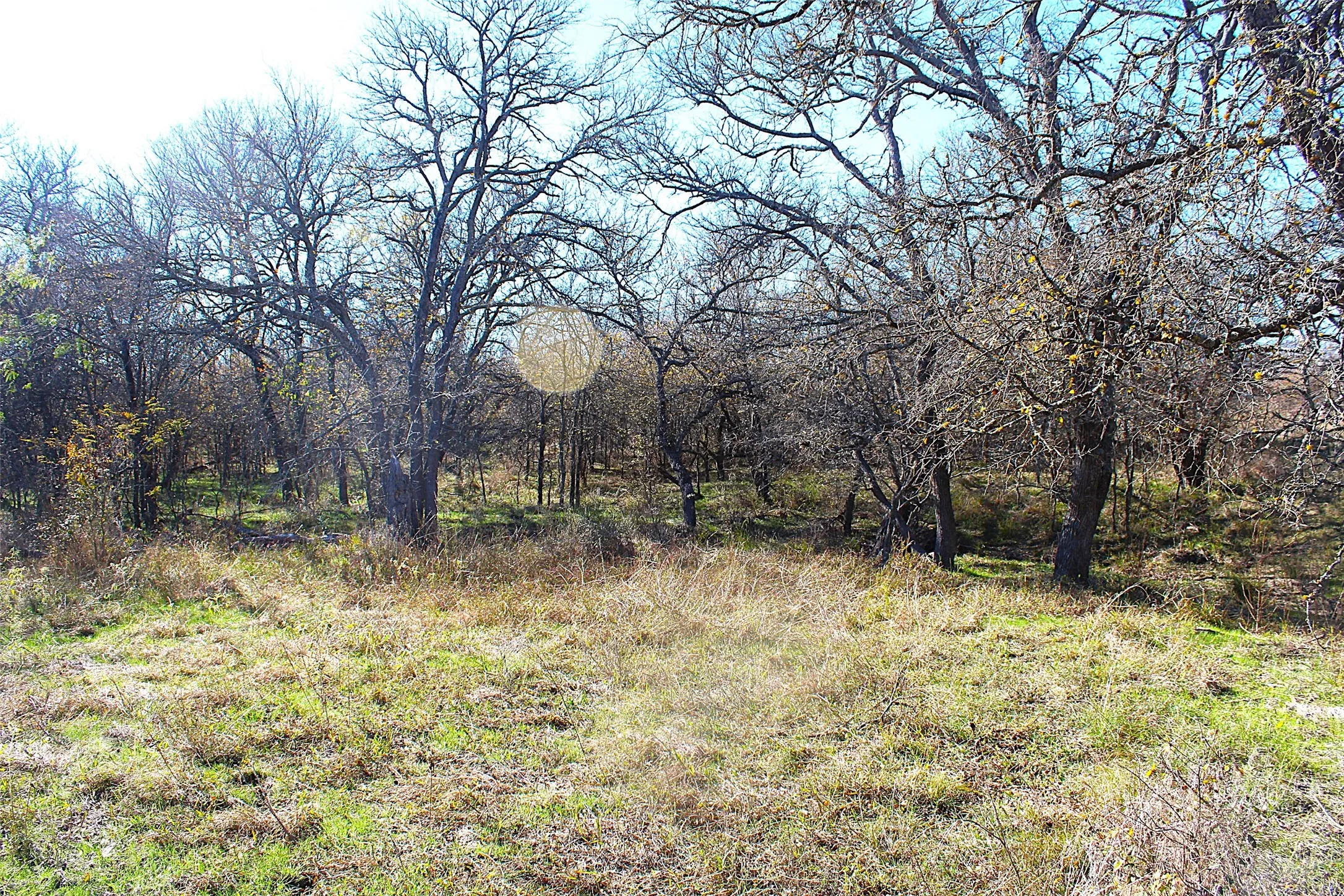 View of nature