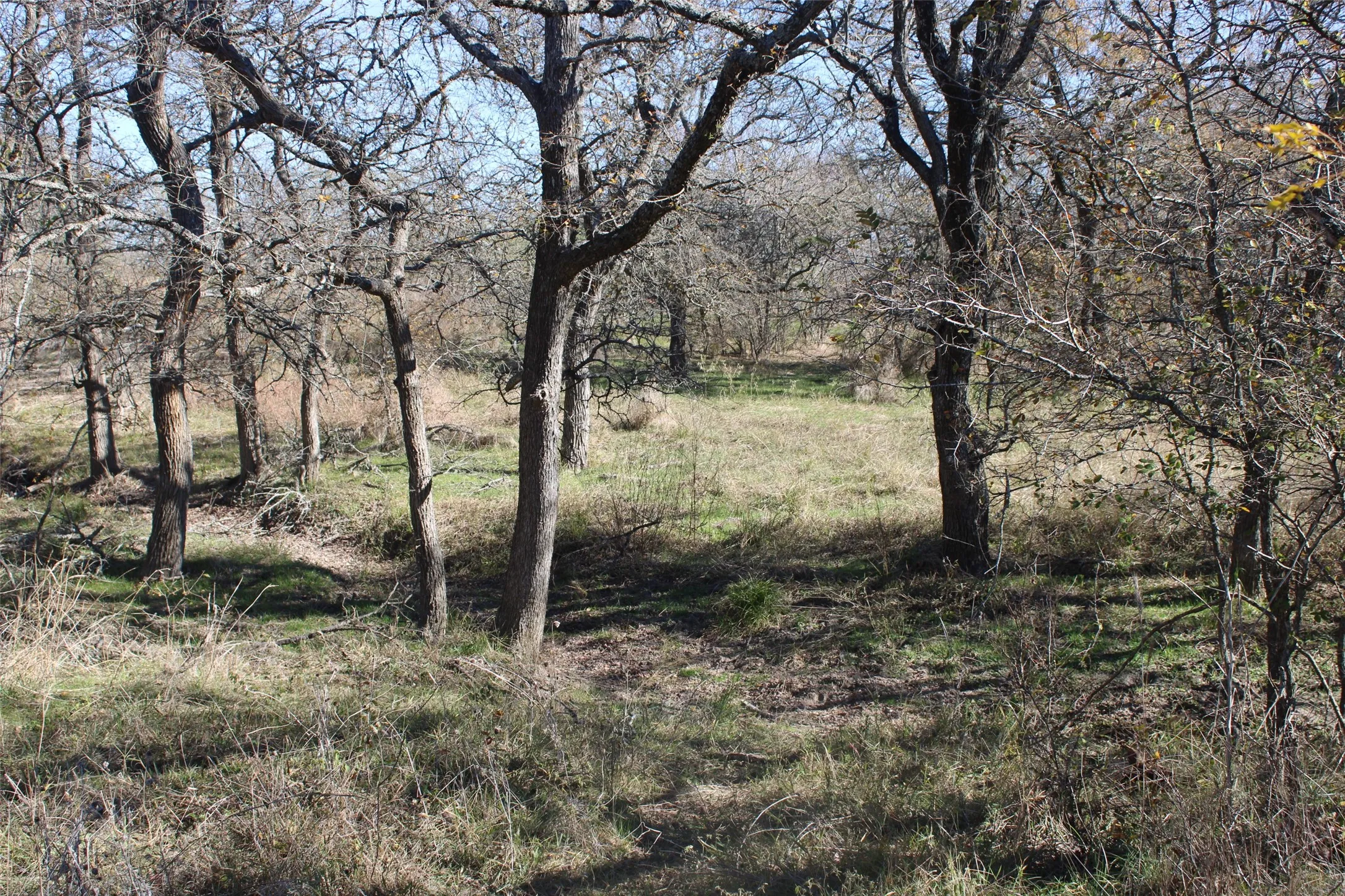 View of landscape