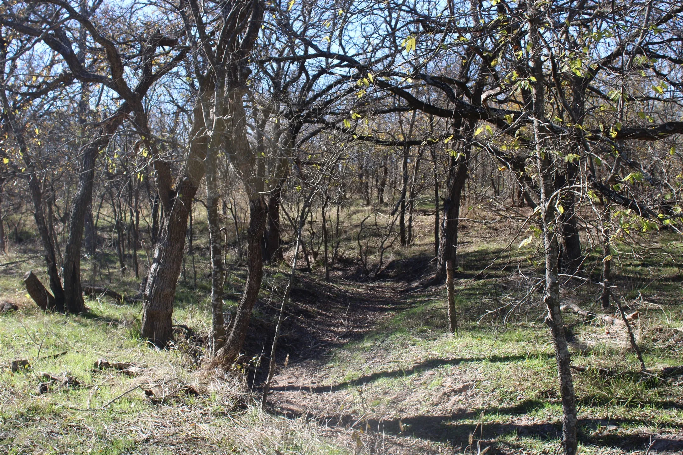 View of local wilderness