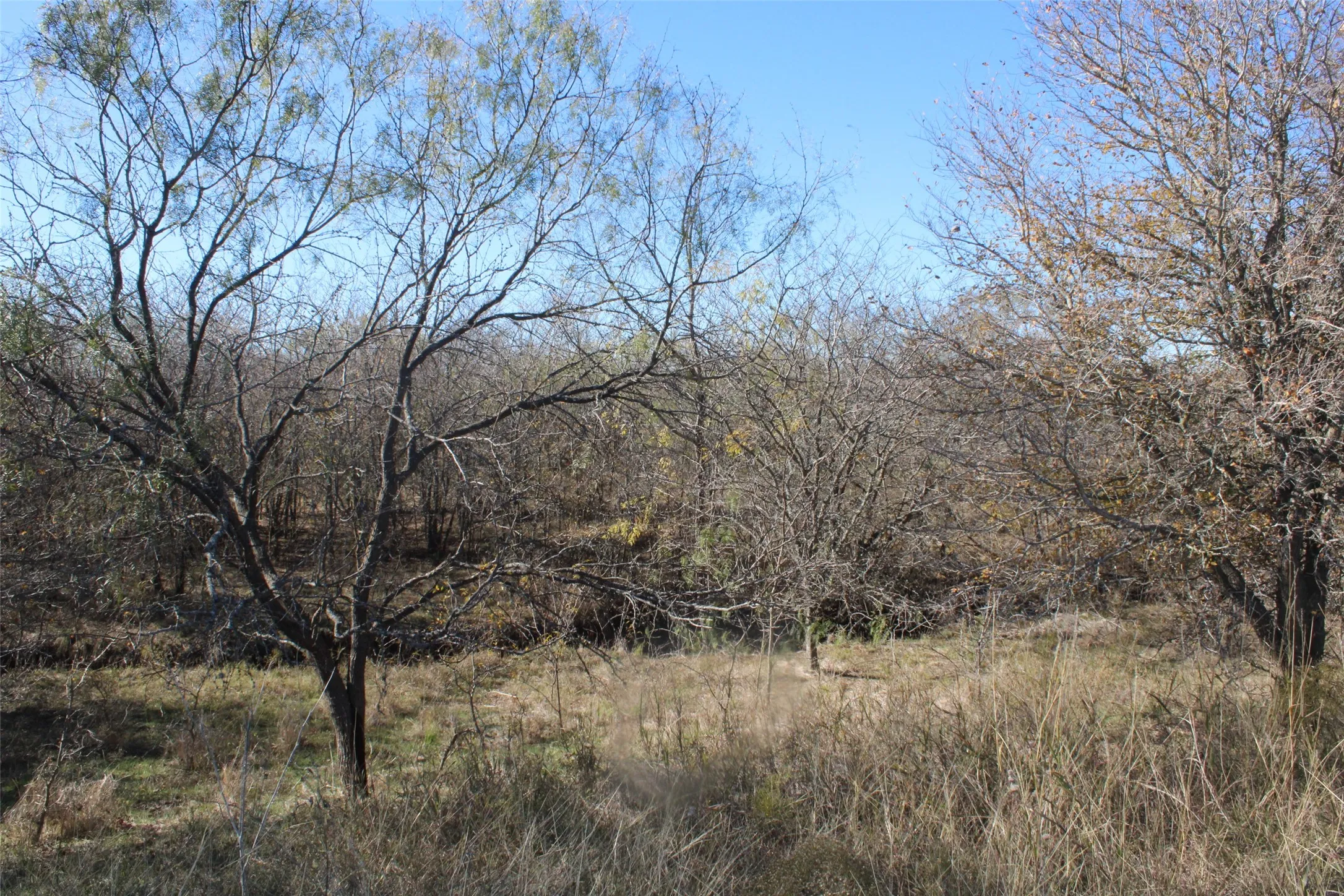 View of landscape