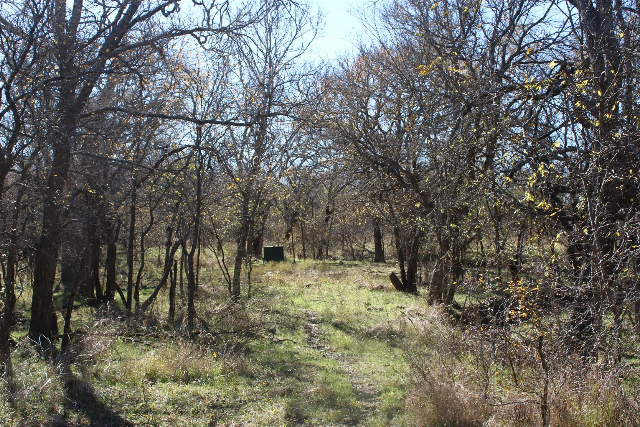 View of landscape