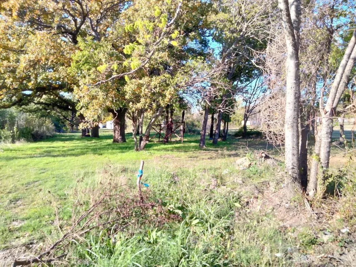 Improved Land For Sale in Kaufman County , TBD Mineral Wells Street, Terrell, Texas 75160, 0, 0, Garage spaces, 0 Sqft, built in 0, Price $49,900, mls#20801369, Real Estate Agent in Terrell, Homes For Sale in Kaufman county, Homes For Sale in Terrell, Realtor in Terrell Texas, Real Estate Brokerage Independent Realty Texas, Luminita Cordes Realtor
