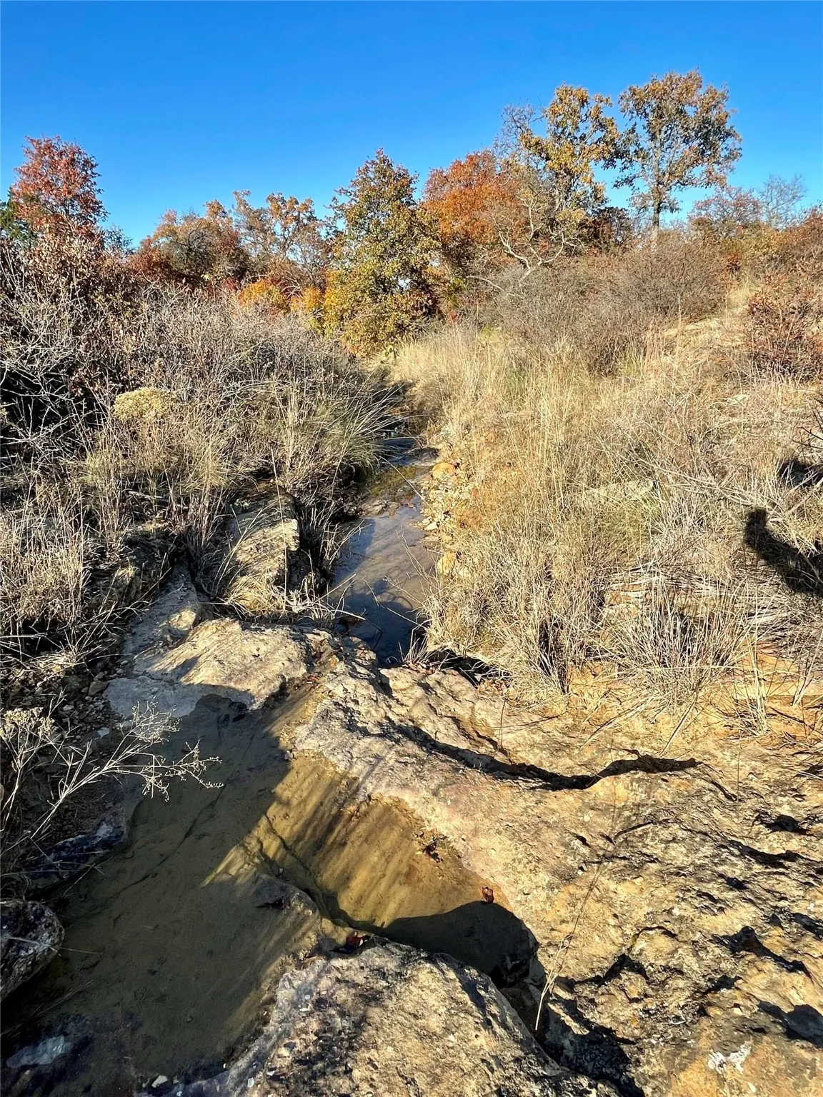 View of seasonal creek