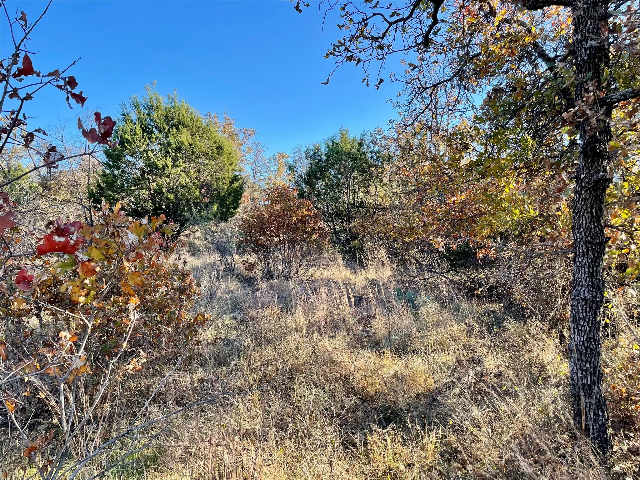 View of landscape