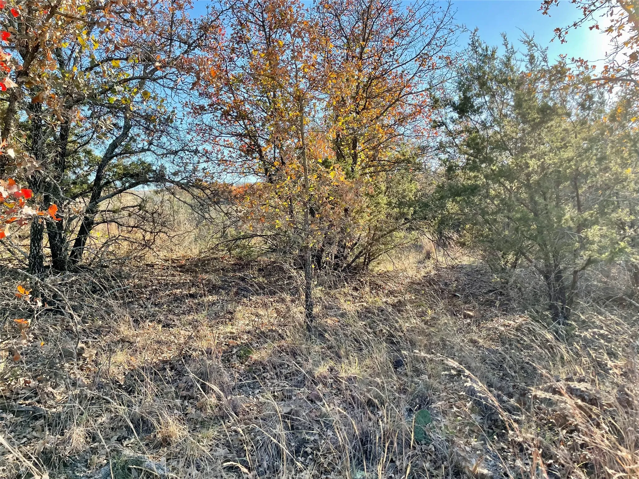 View of landscape