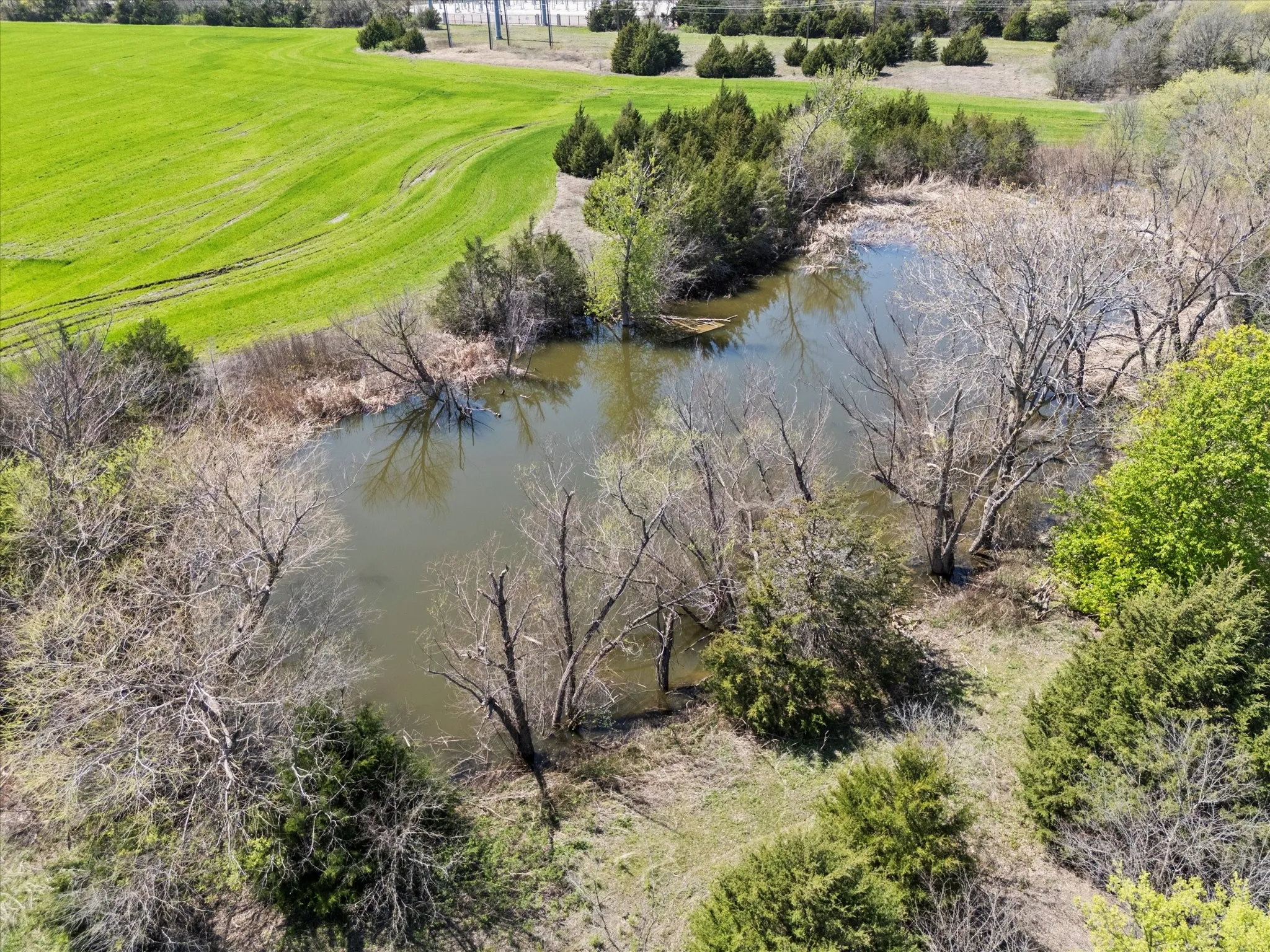 Large Pond
