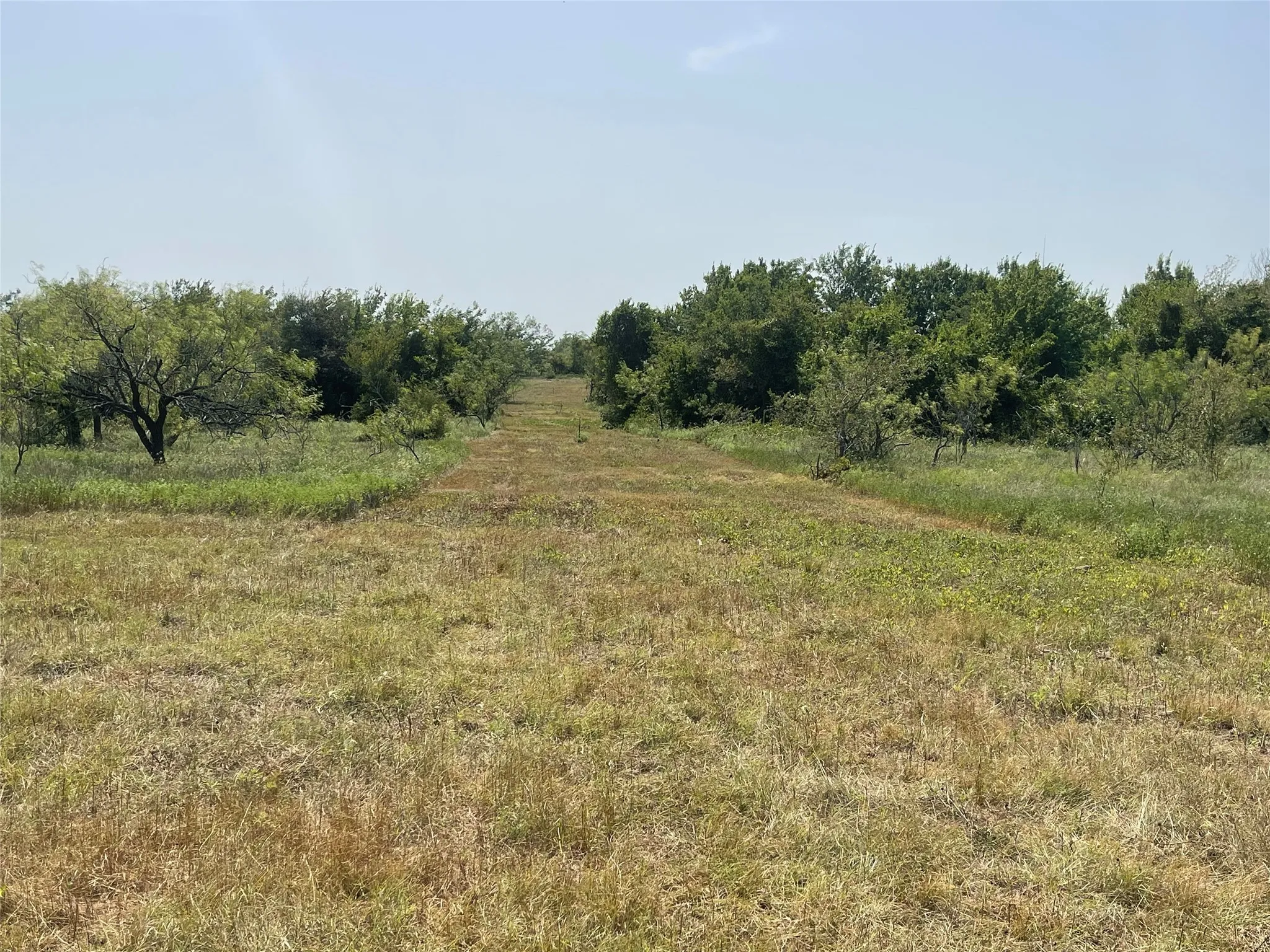 Unimproved Land For Sale in Limestone County , TBD Lot 9 FM 339, Mount Calm, Texas 76673, 0, 0, Garage spaces, 0 Sqft, built in 0, mls#20807241, Real Estate Agent in Mount Calm, Homes For Sale in Limestone county, Homes For Sale in Mount Calm, Realtor in Mount Calm Texas, Real Estate Brokerage Independent Realty Texas, Luminita Cordes Realtor